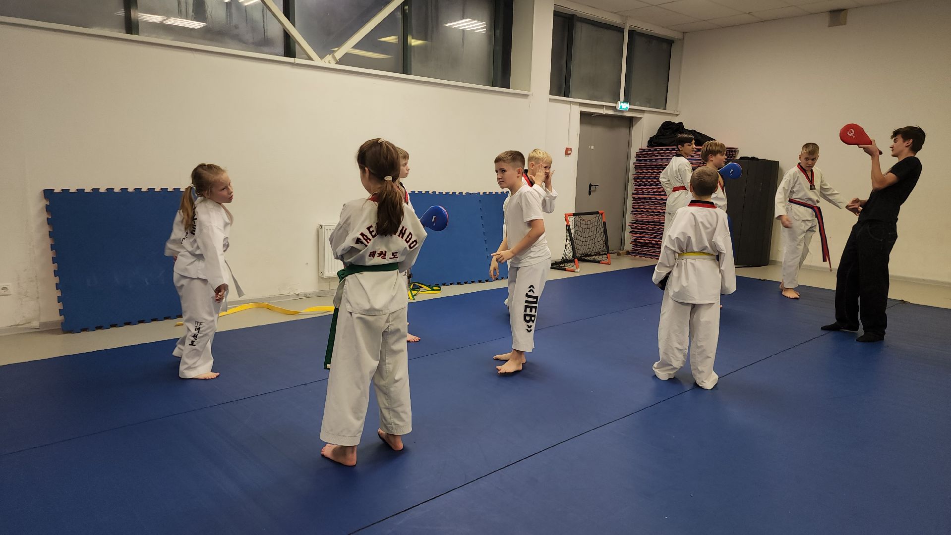 Истра, Спорт, Тхэквондо , Турнир,