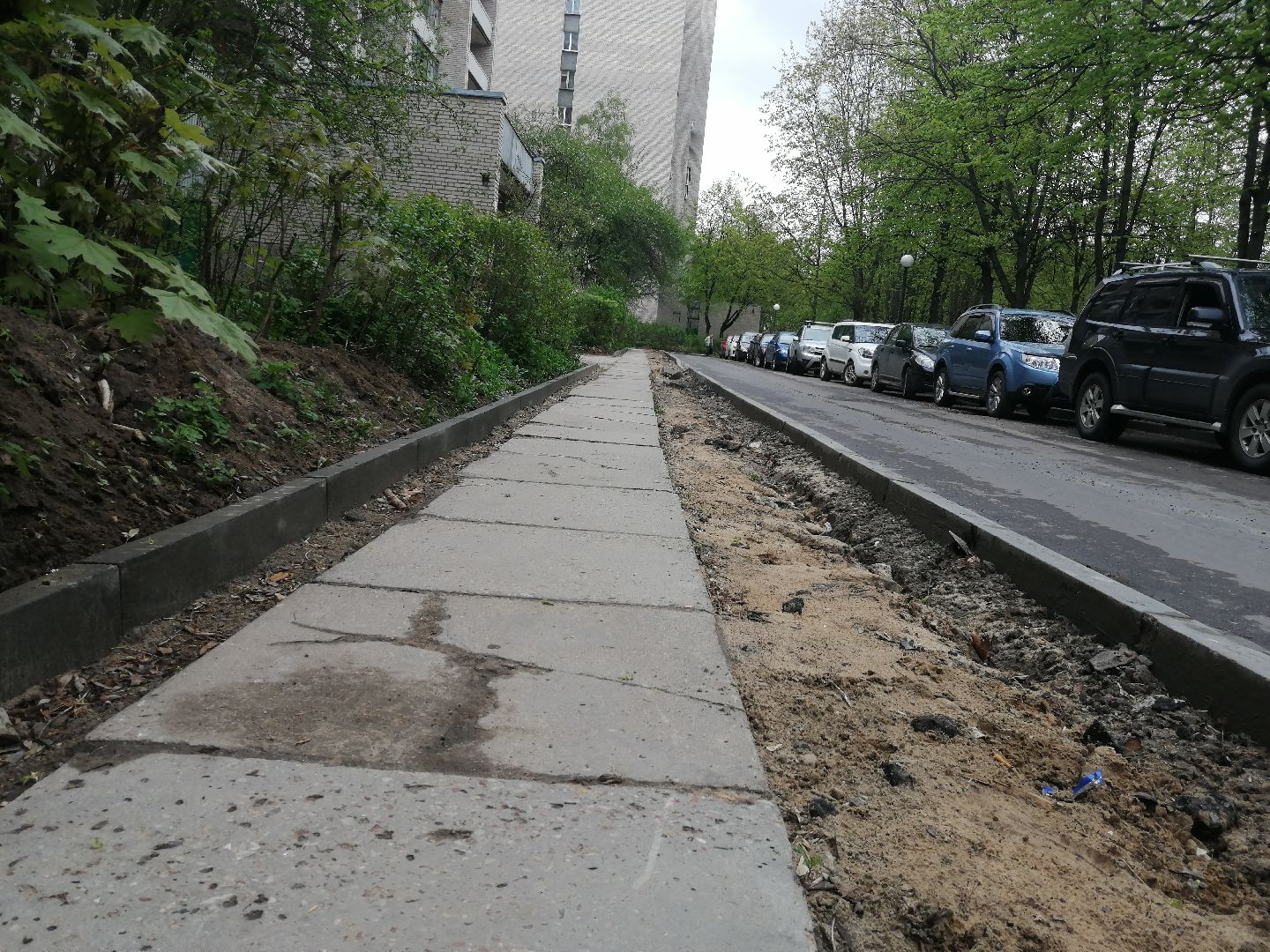 благоустройство, пешеходная дорога, Протвино, благоустроительный сезон, перемены