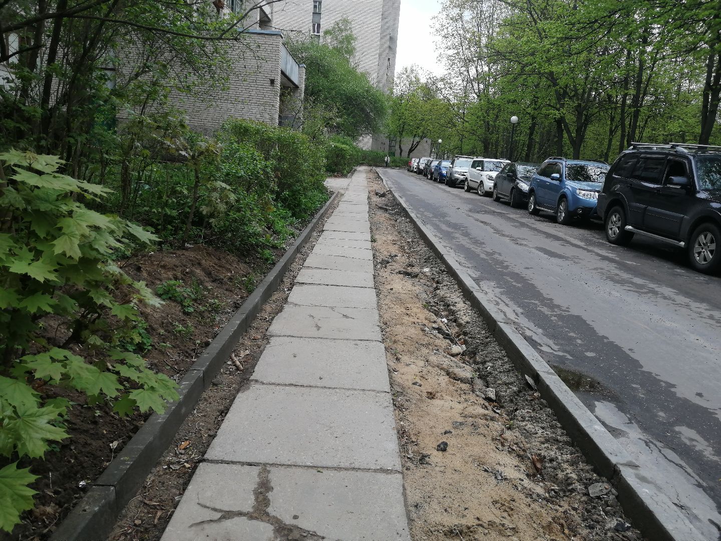 благоустройство, пешеходная дорога, Протвино, благоустроительный сезон, перемены