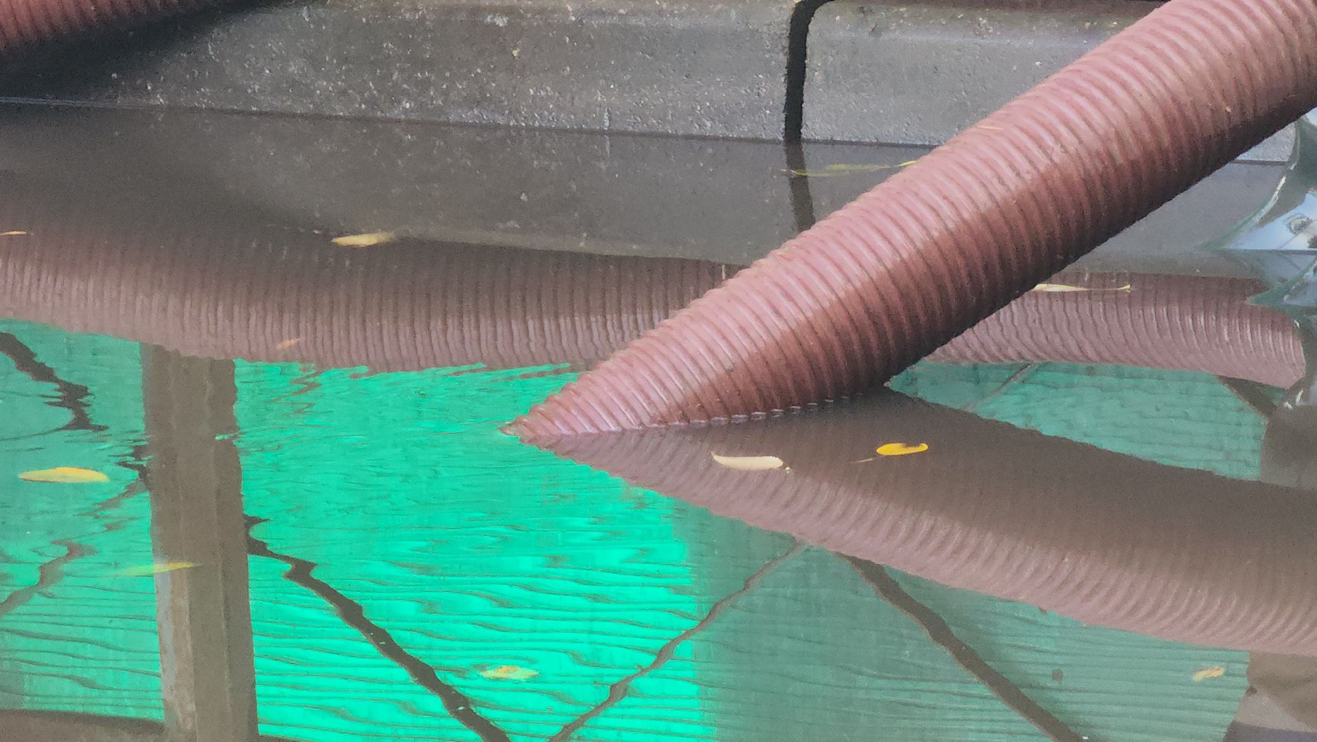 люберцы, откачка воды, люберецкий водоканал,