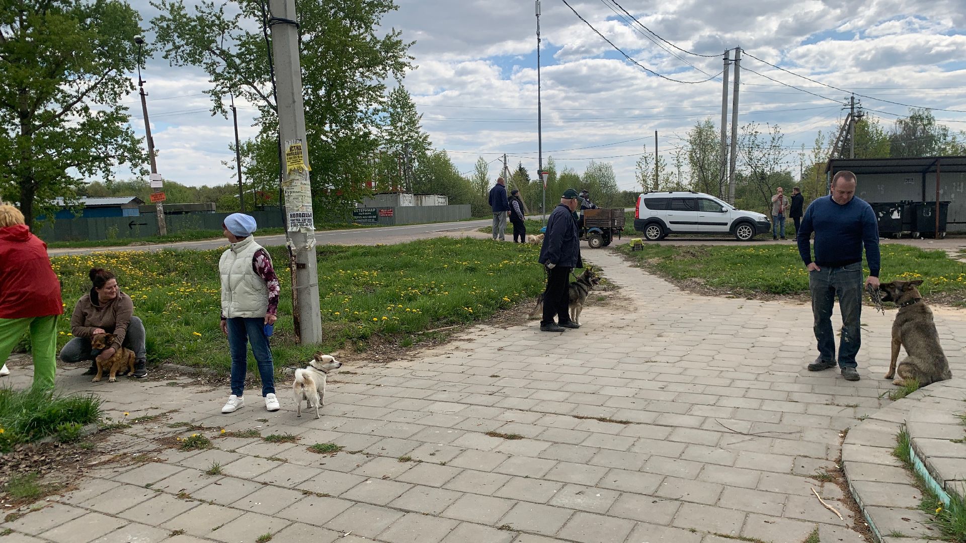 Ступино, медицина, бешенство