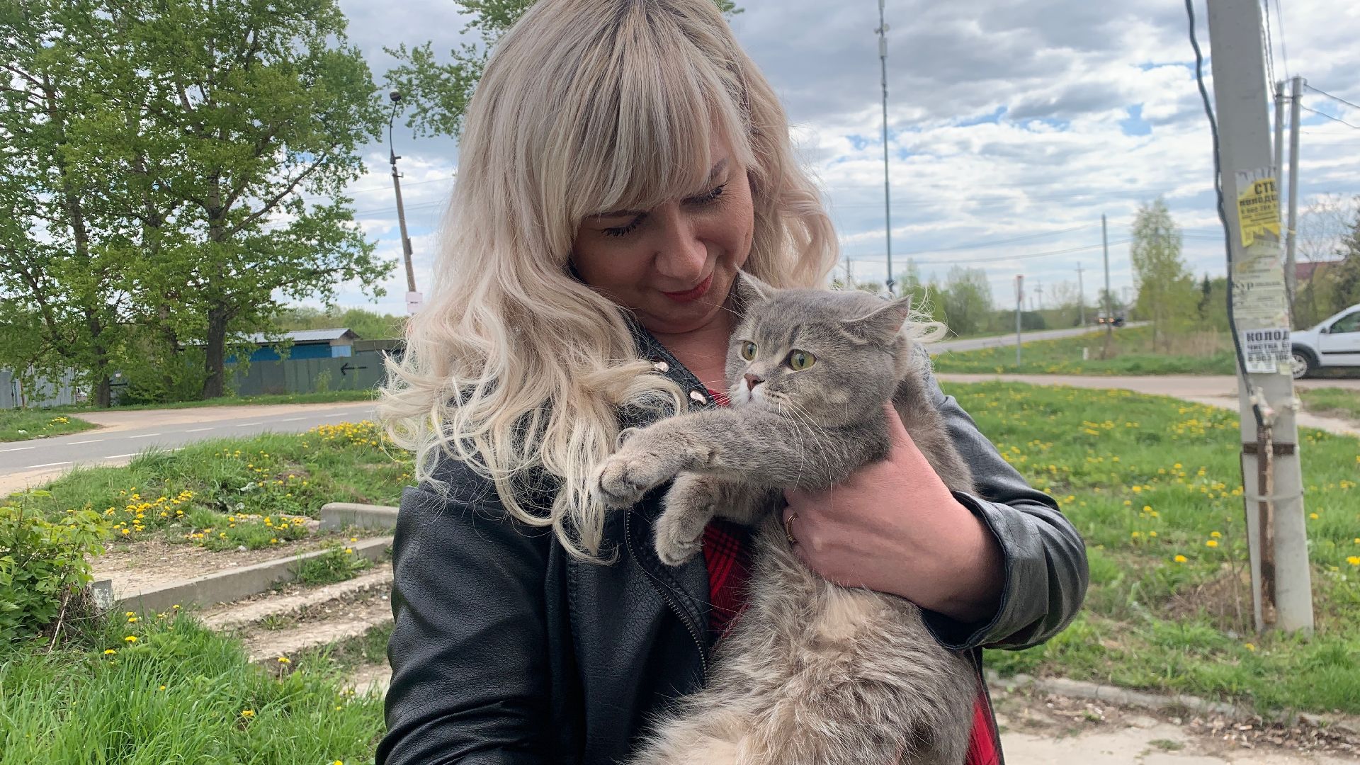 Ступино, медицина, бешенство