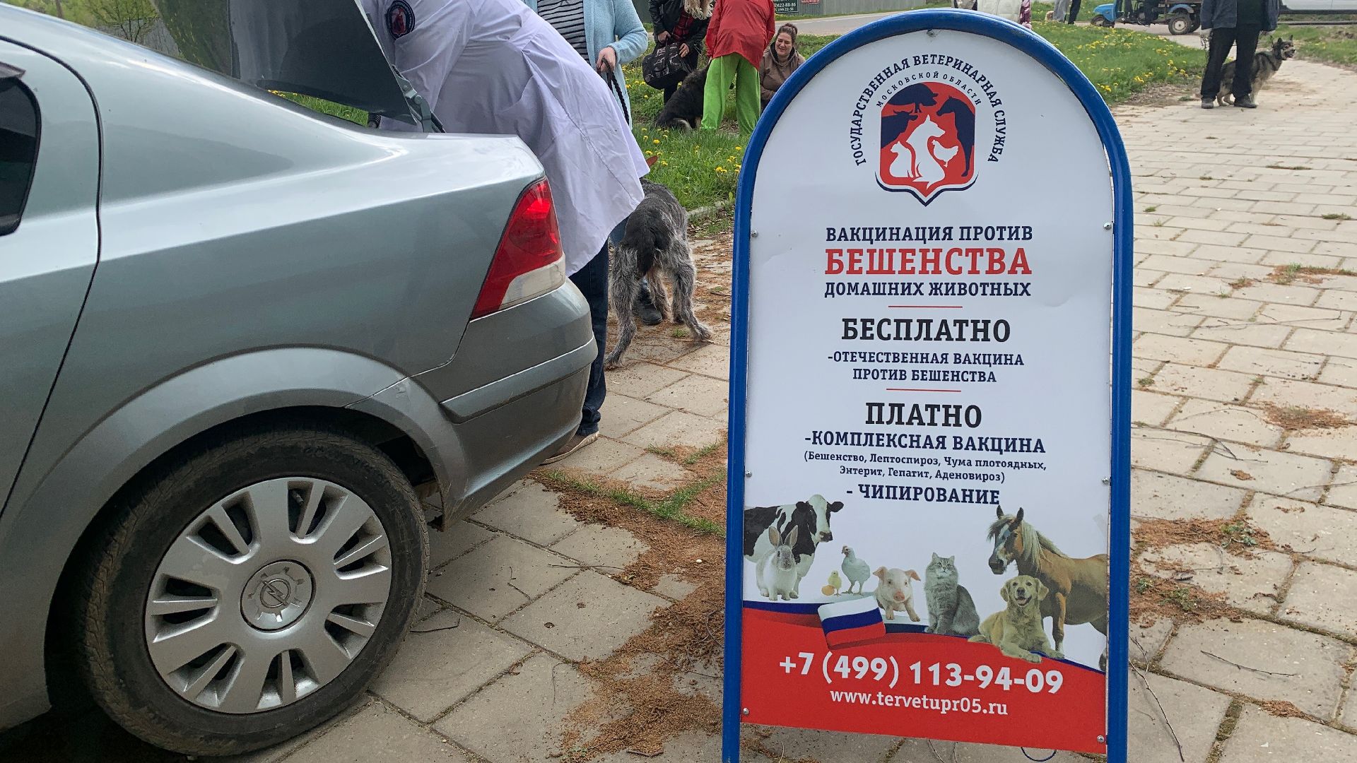 Ступино, медицина, бешенство