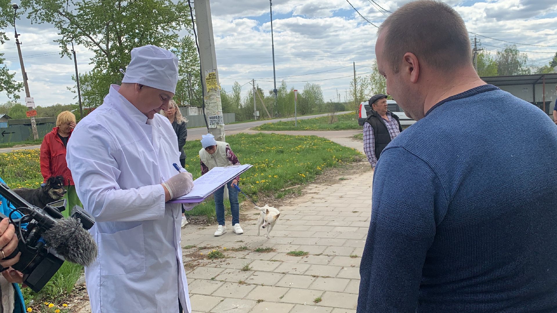 Ступино, медицина, бешенство