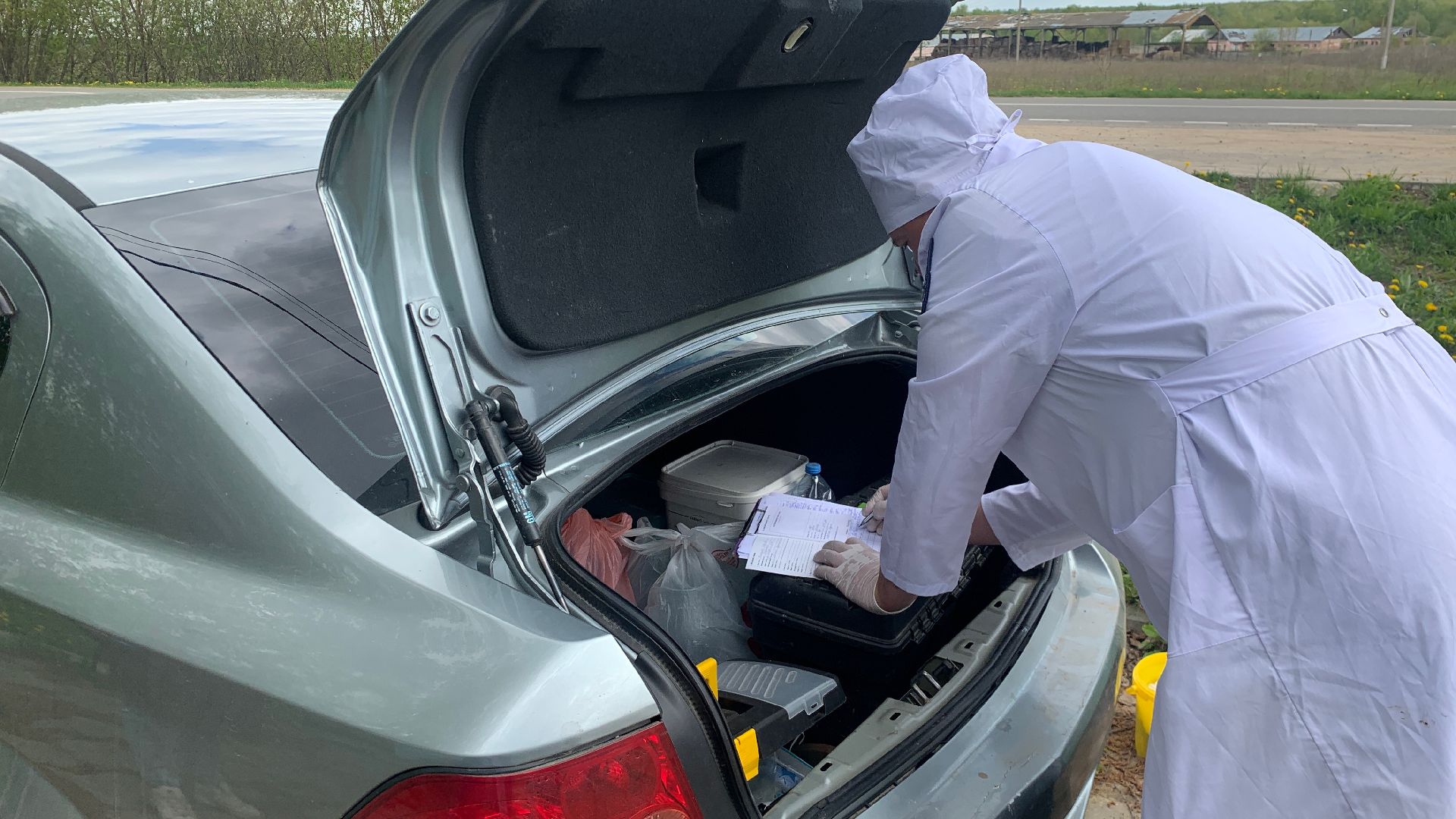 Ступино, медицина, бешенство