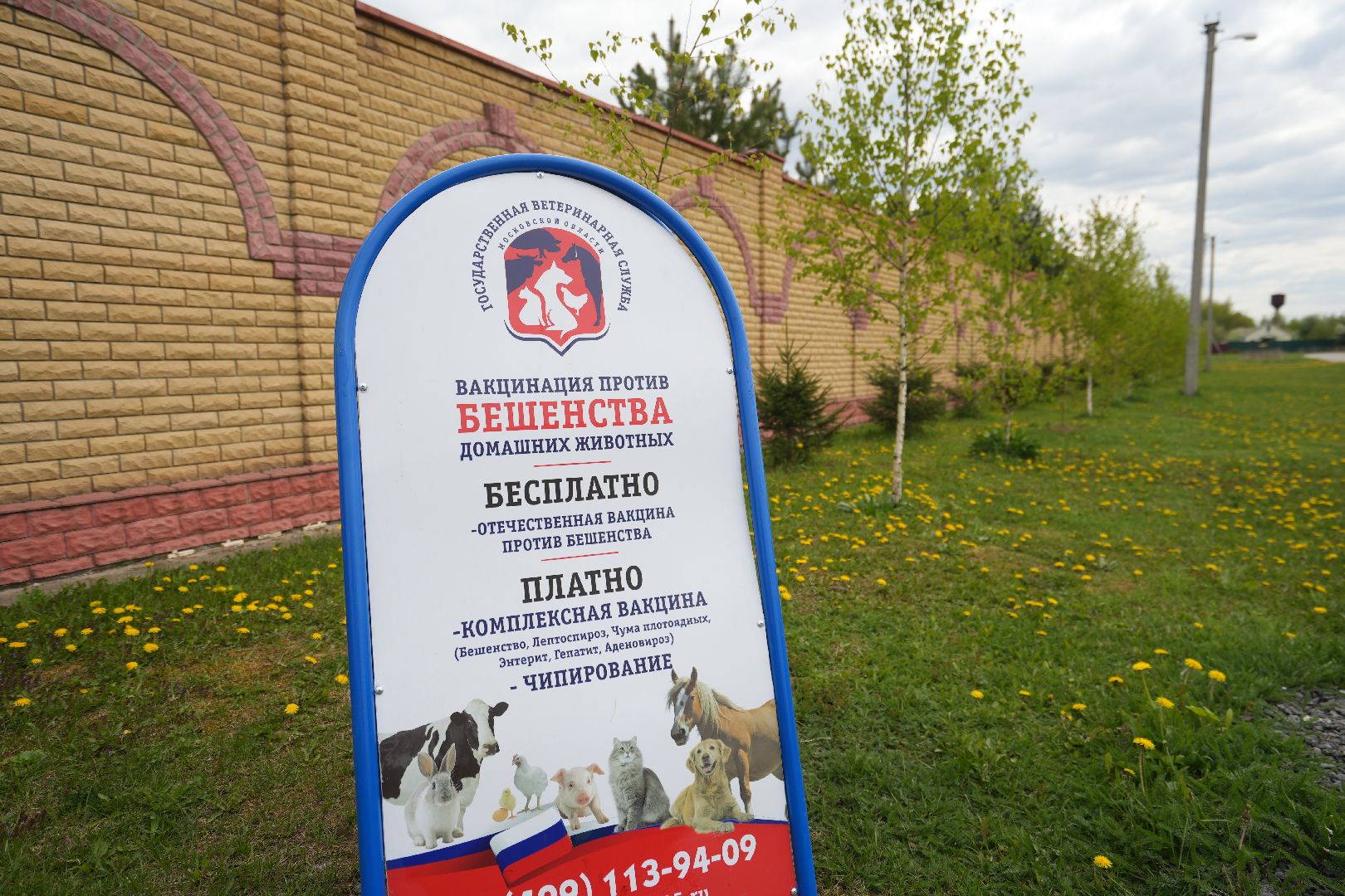 Вакцинация от бешенства, ветеринария, Домодедово