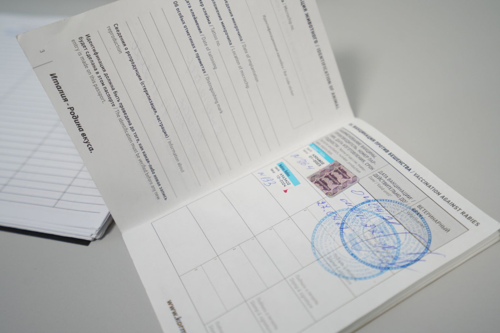 Вакцинация от бешенства, ветеринария, Домодедово