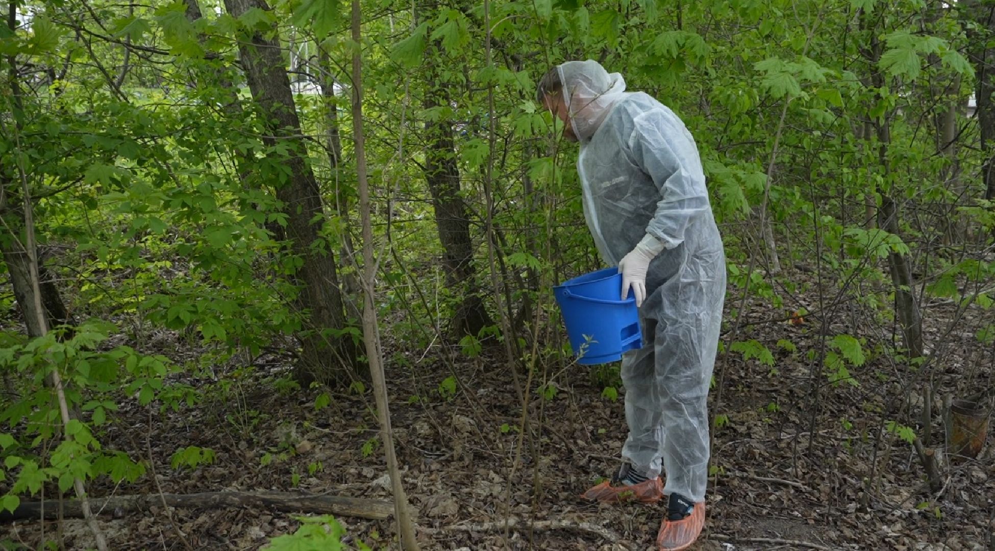 Вакцинация от бешенства, ветеринария, Домодедово