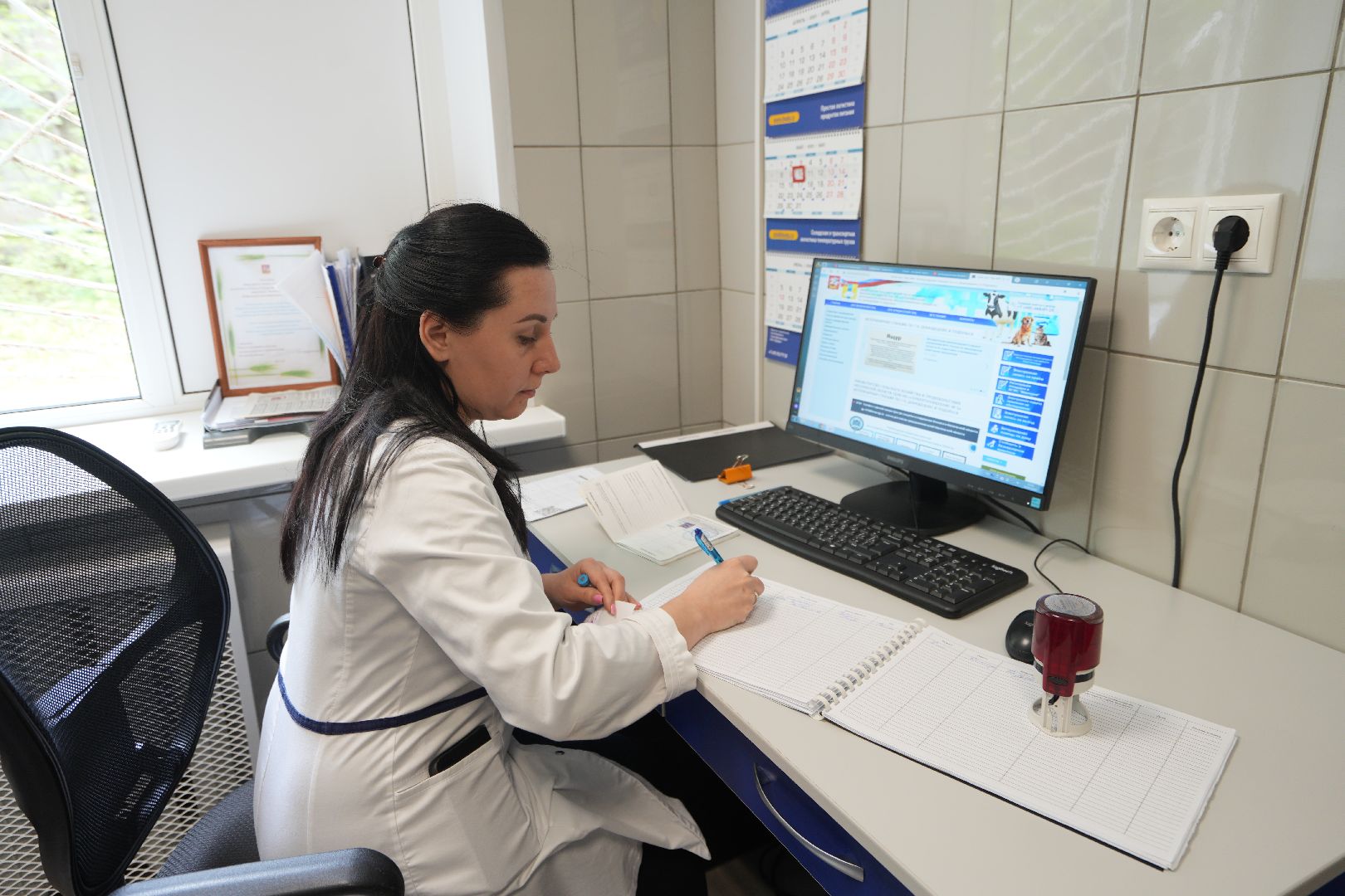 Вакцинация от бешенства, ветеринария, Домодедово