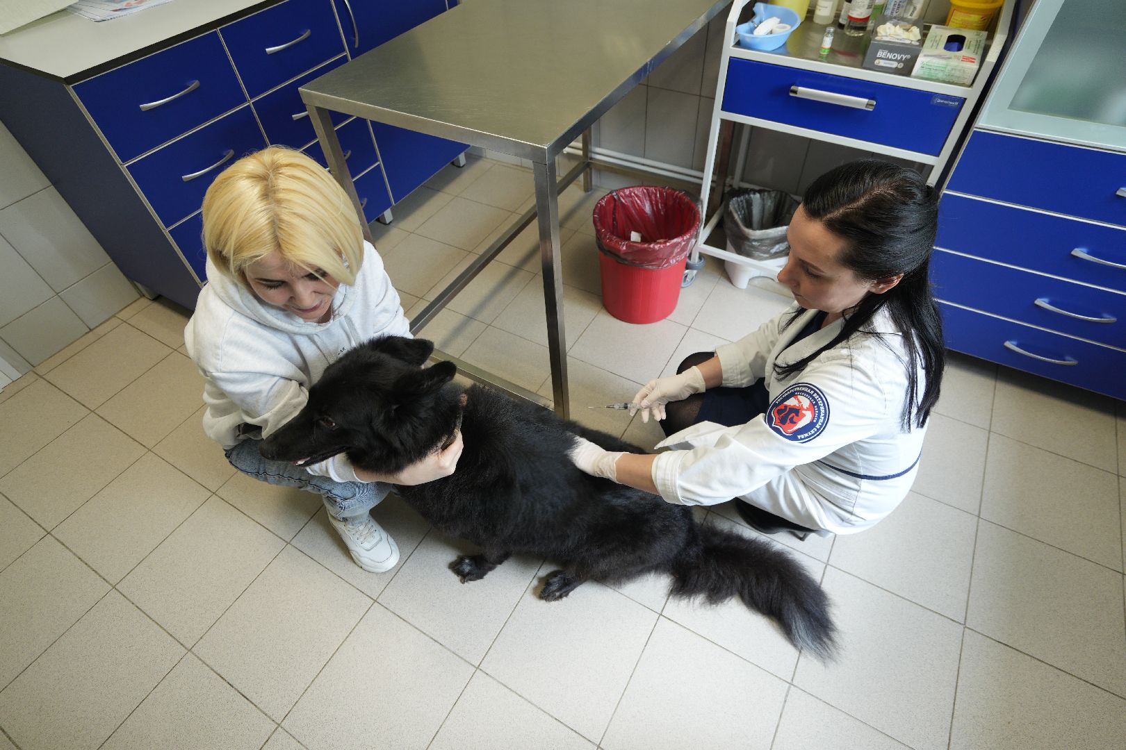 Вакцинация от бешенства, ветеринария, Домодедово