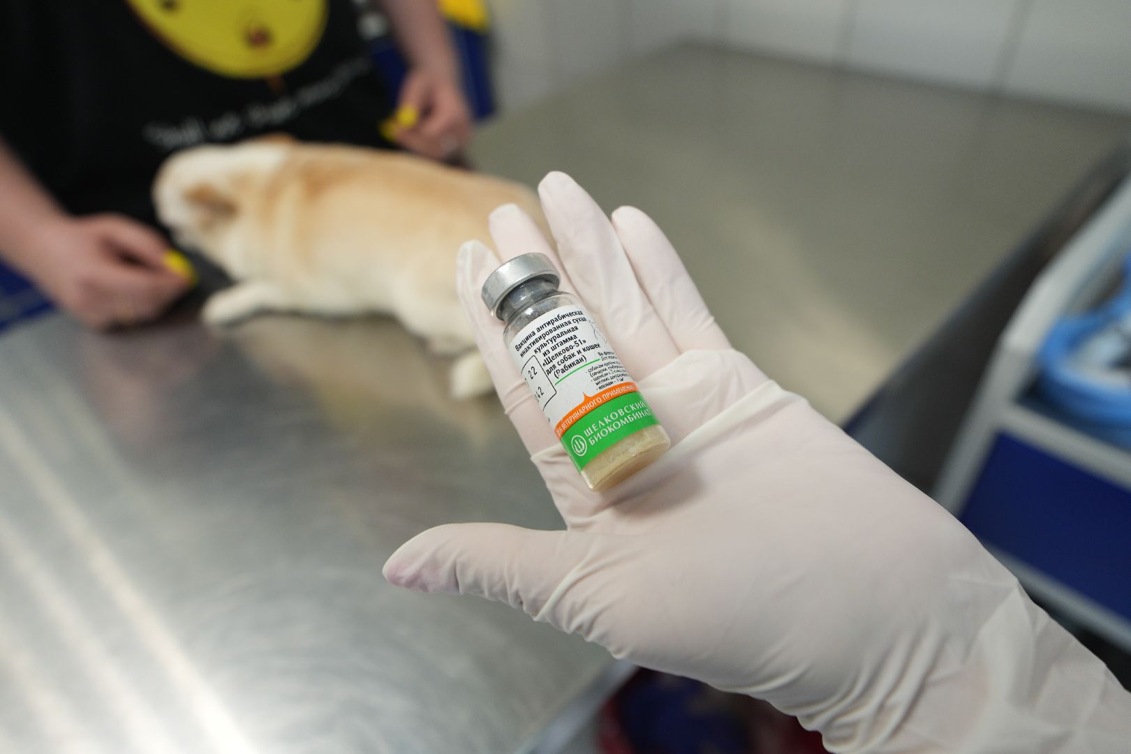 Вакцинация от бешенства, ветеринария, Домодедово