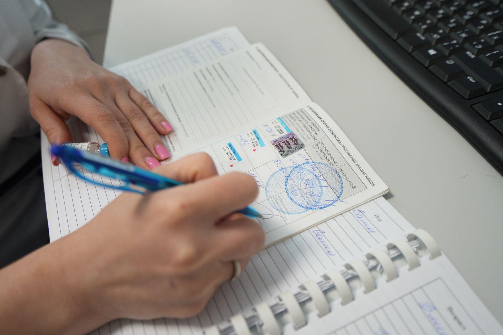 Вакцинация от бешенства, ветеринария, Домодедово