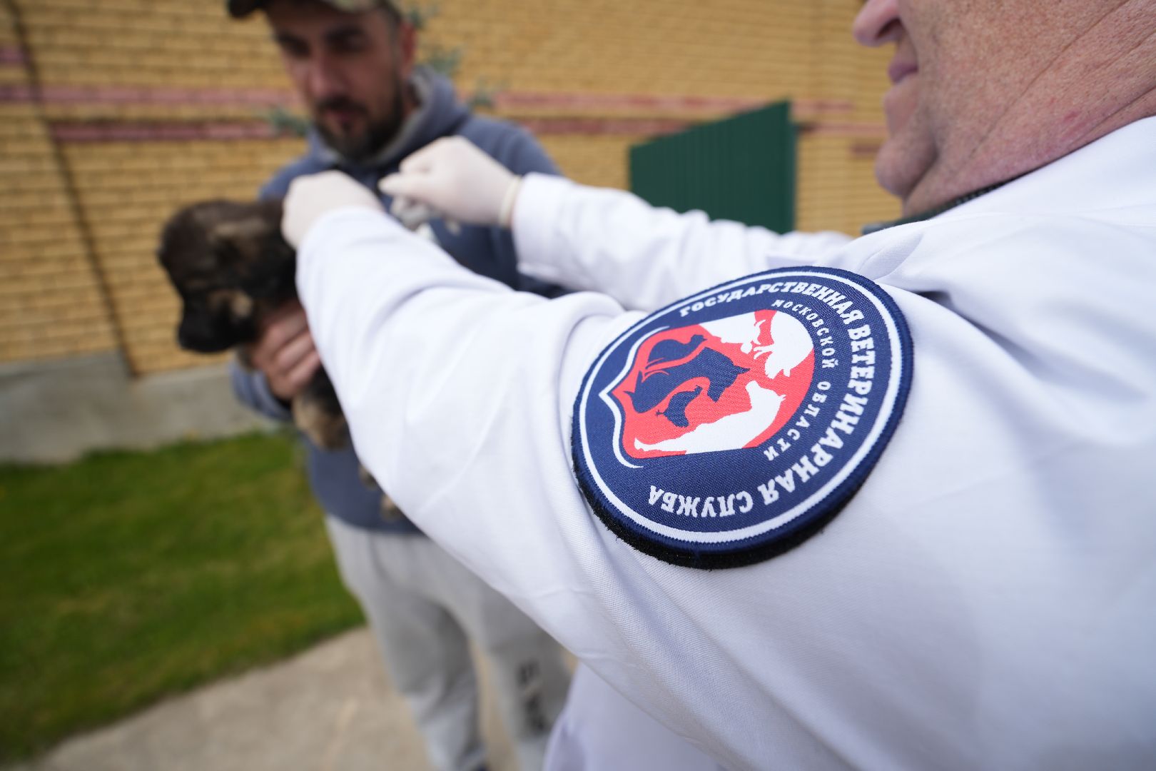 Вакцинация от бешенства, ветеринария, Домодедово