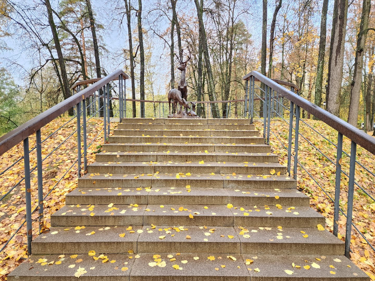 раменское, туризм, раменский городской парк ,