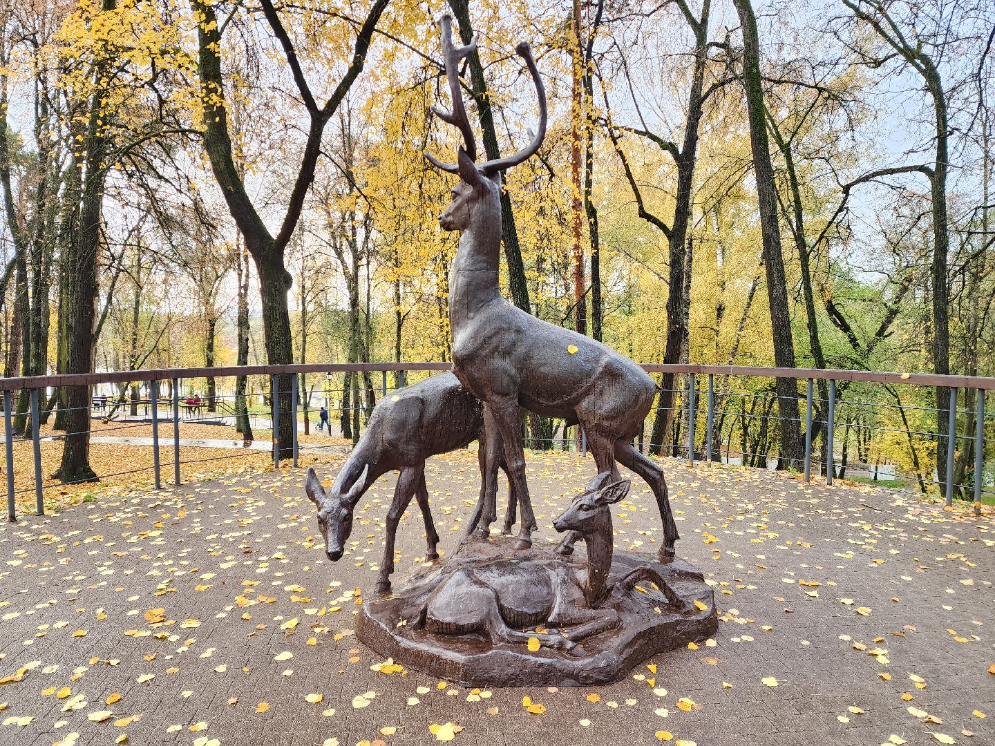 раменское, туризм, раменский городской парк ,