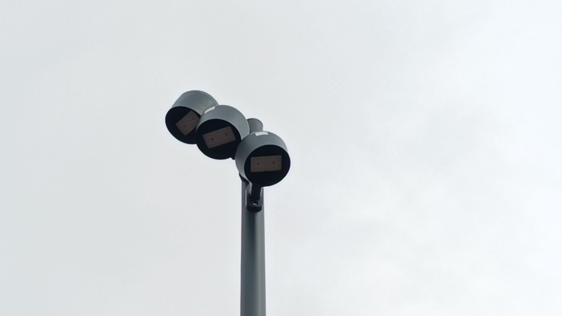 парк, площадка для выгула собак, лобня,