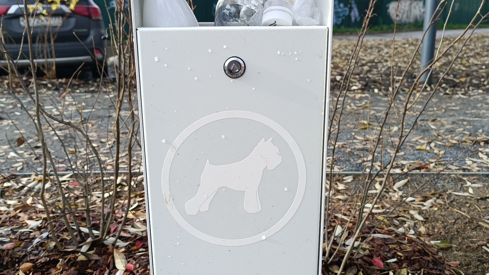 парк, площадка для выгула собак, лобня,