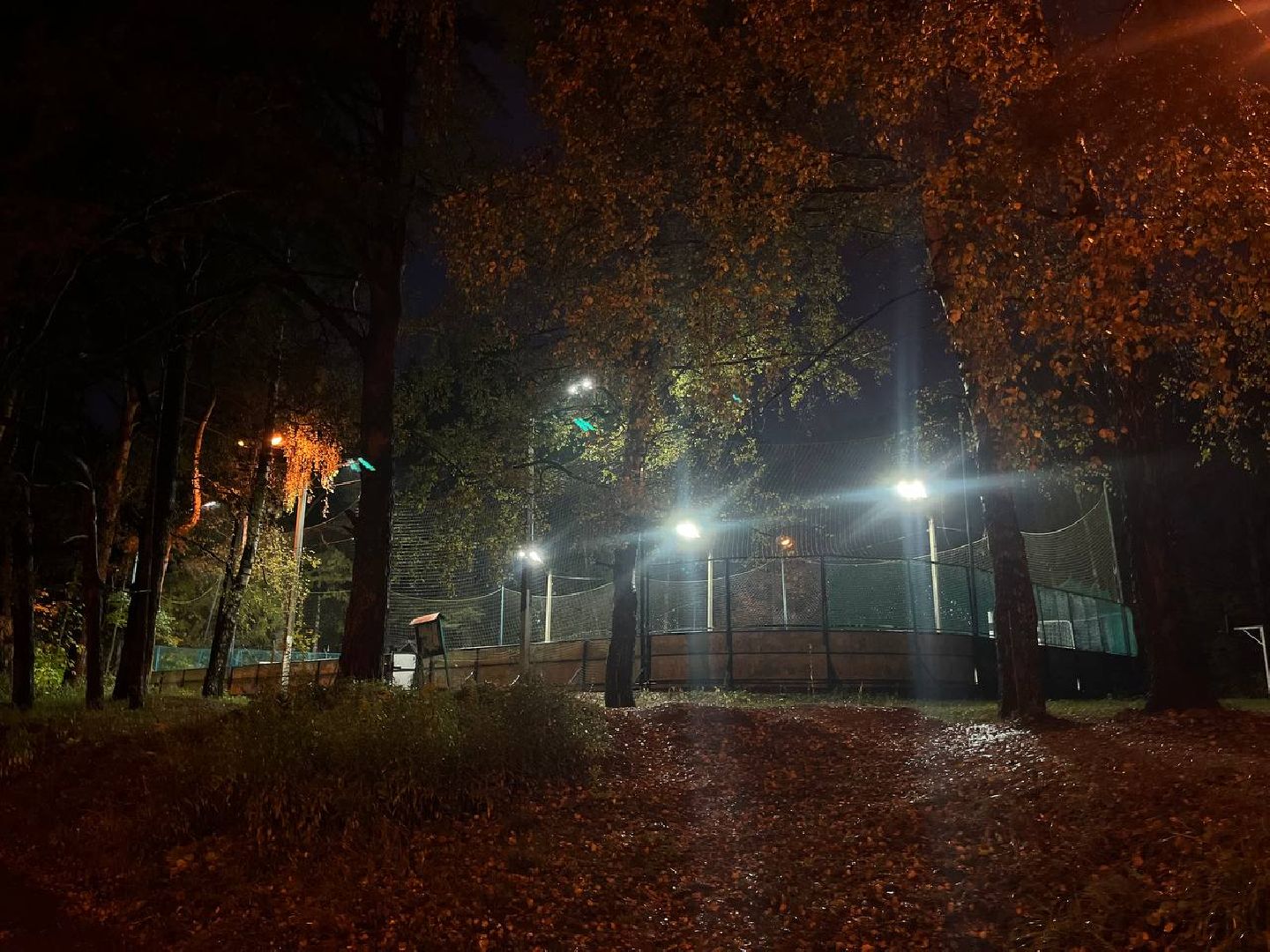 красногорск,  выездная администрация,