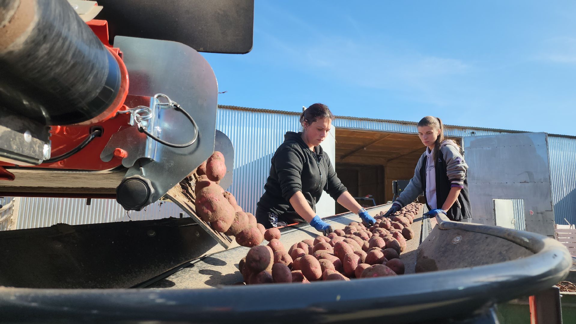 Егорьевск, Подмосковье, Московская область,