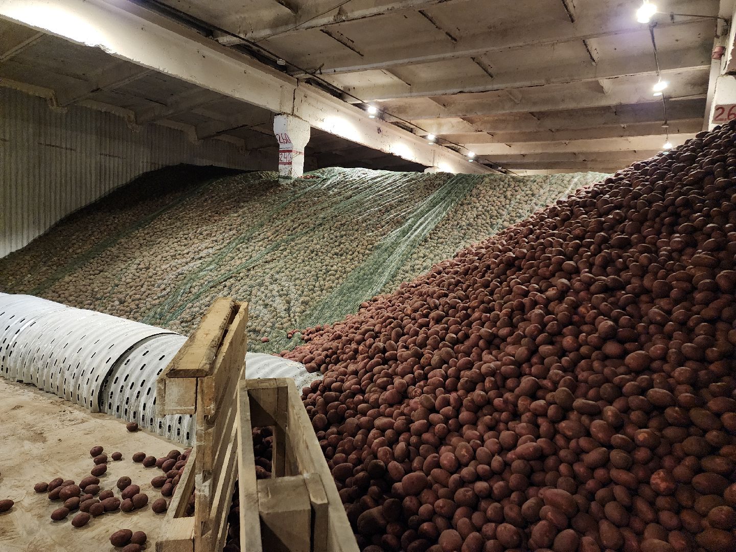 Егорьевск, Подмосковье, Московская область,