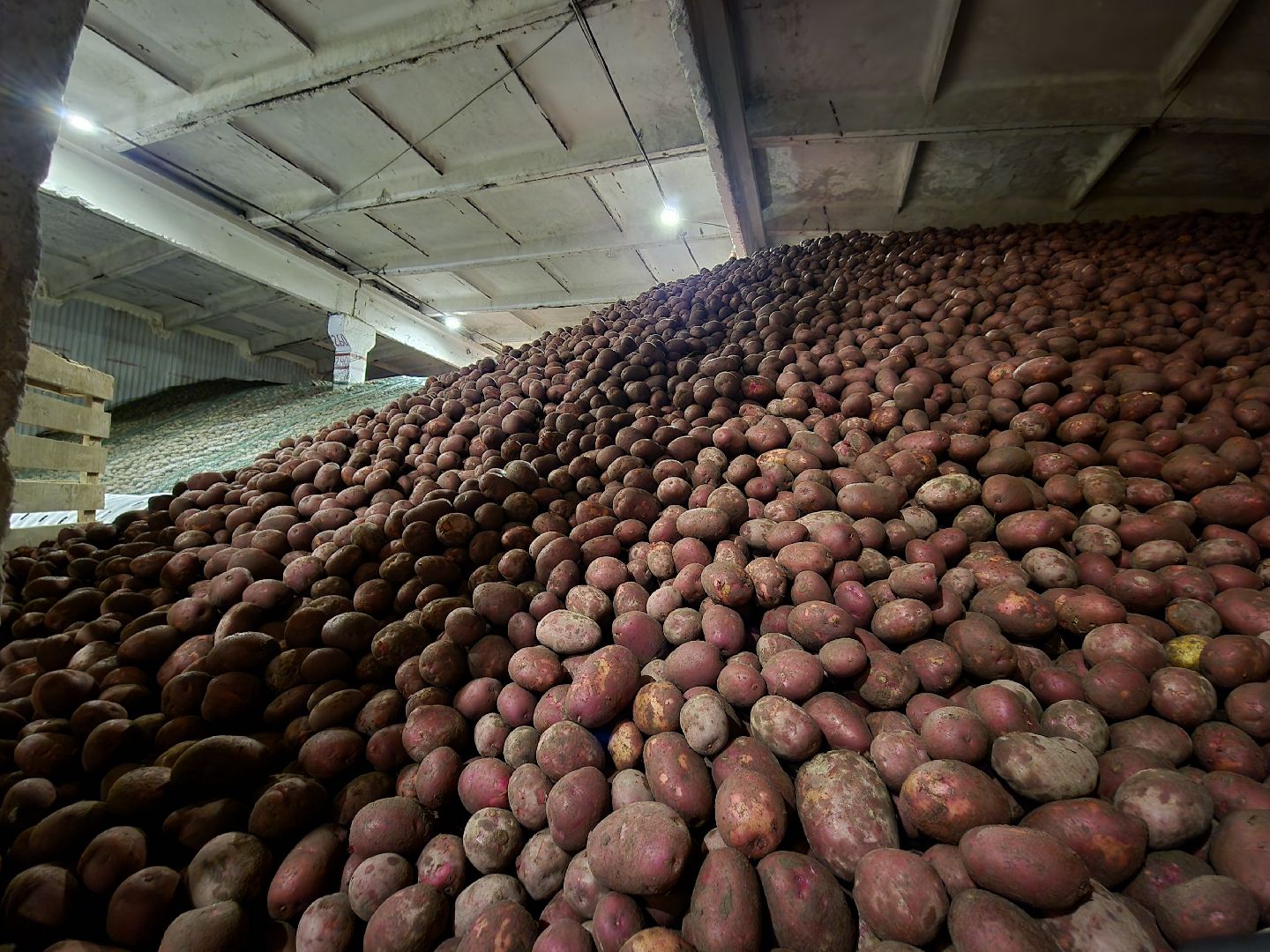 Егорьевск, Подмосковье, Московская область,