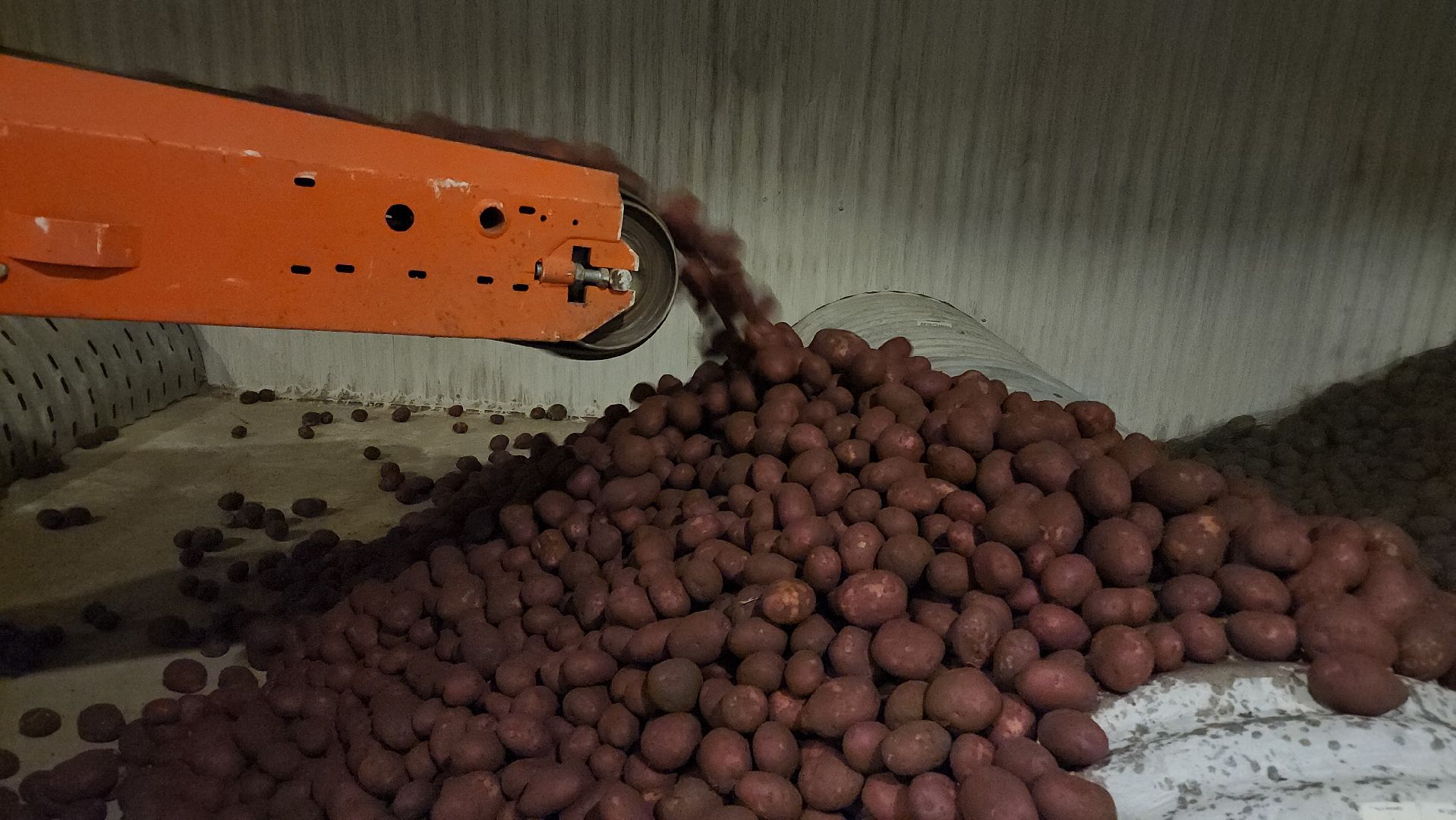 Егорьевск, Подмосковье, Московская область,