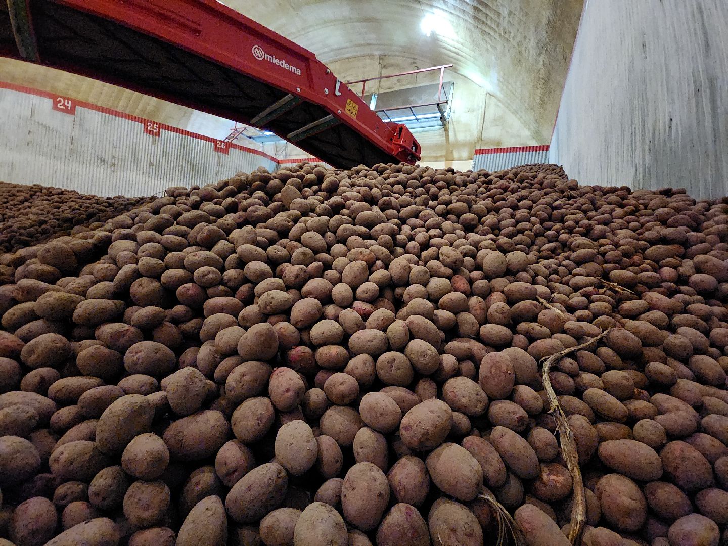 Егорьевск, Подмосковье, Московская область,