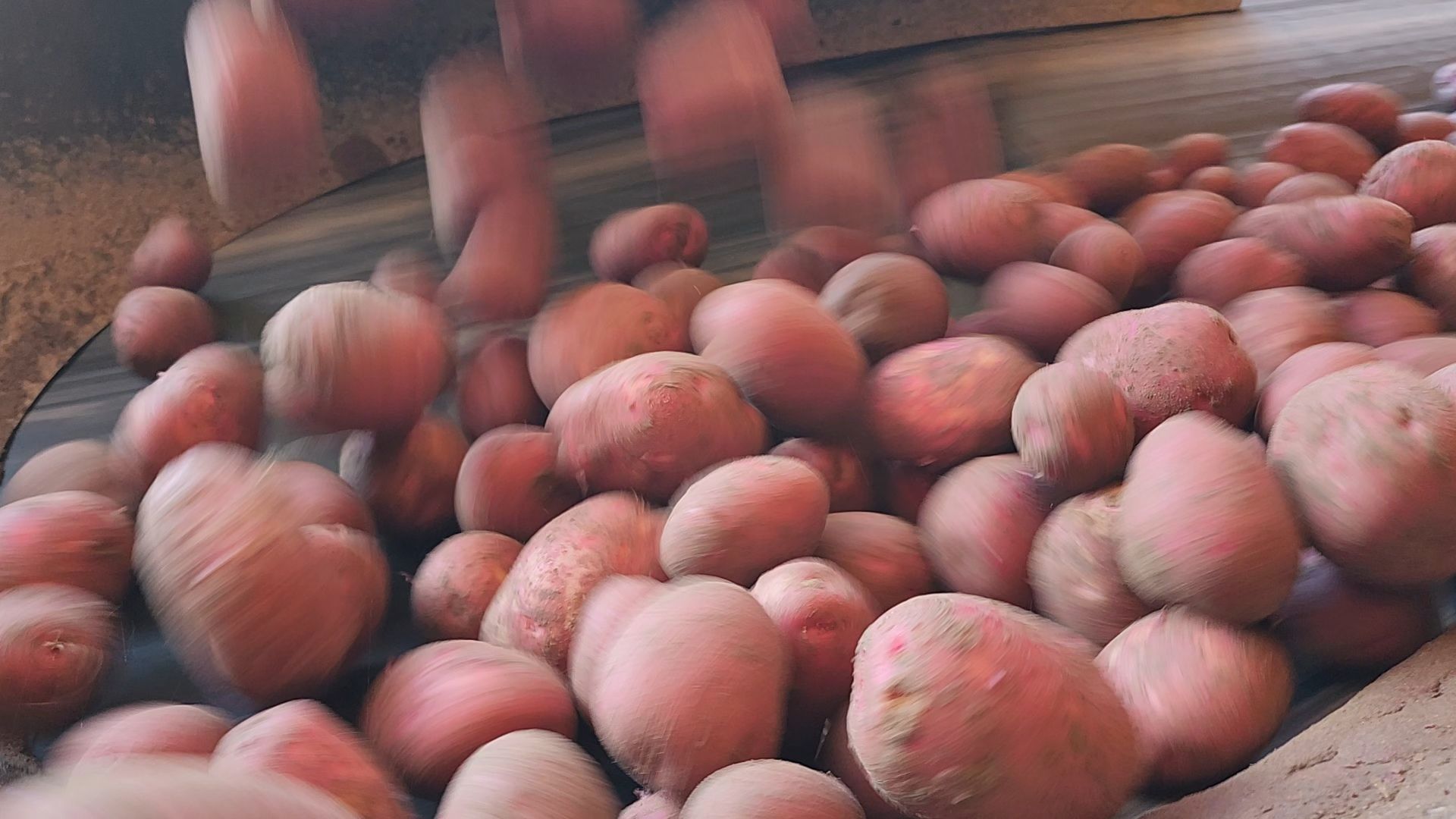 Егорьевск, Подмосковье, Московская область,