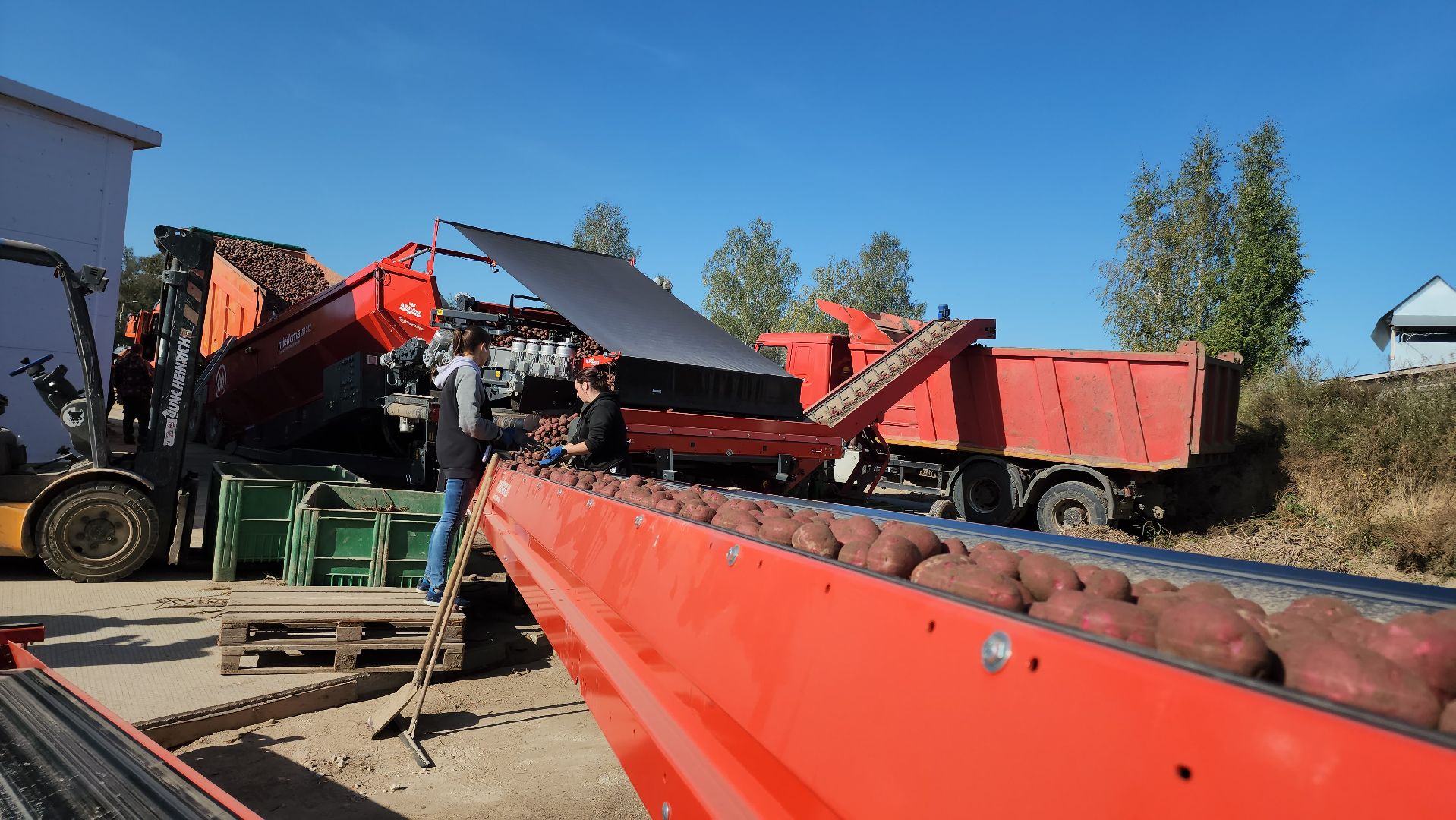 Егорьевск, Подмосковье, Московская область,