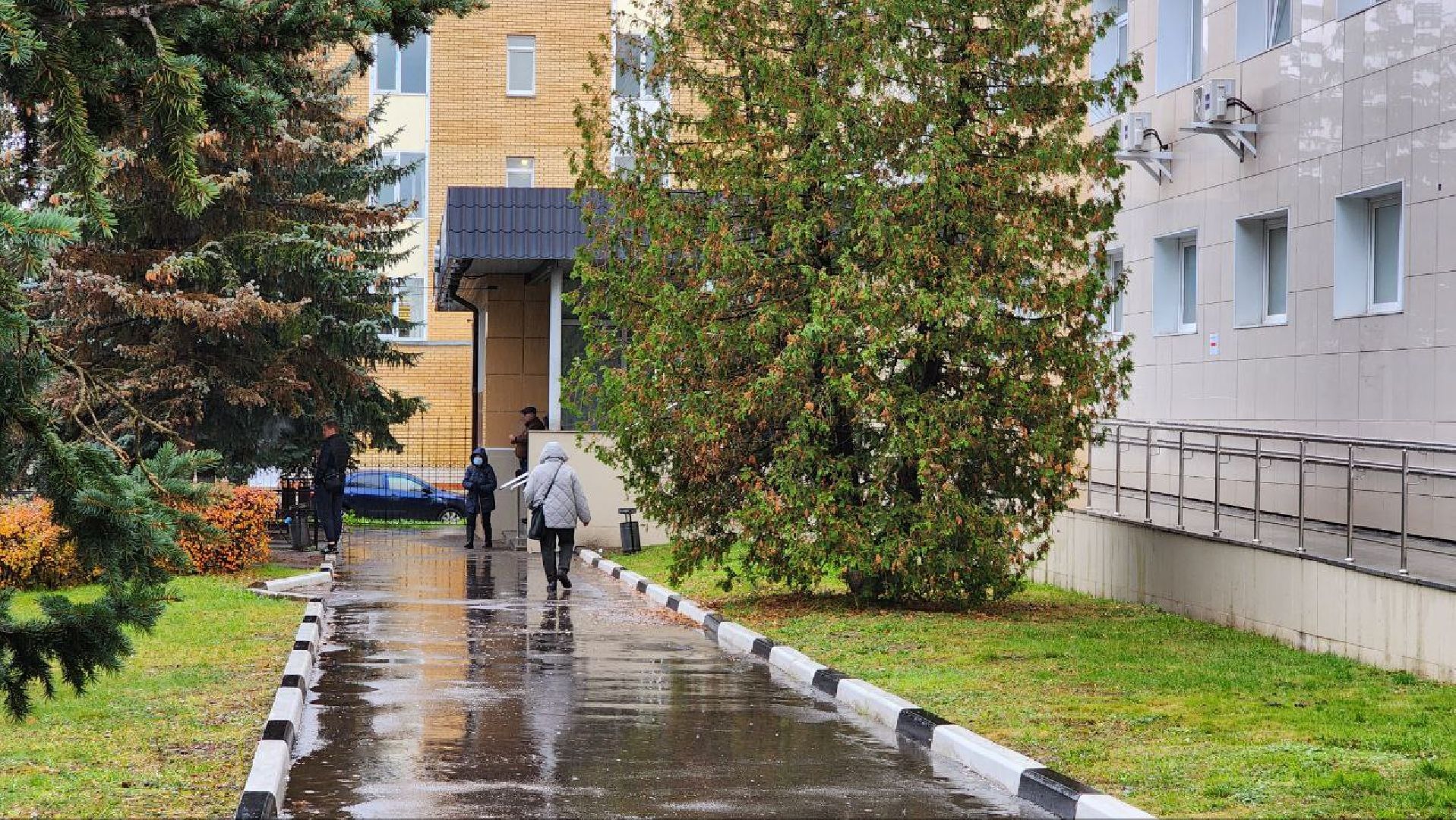 Дмитров, Прививка от гриппа, Взрослая поликлиника, Минздрав,