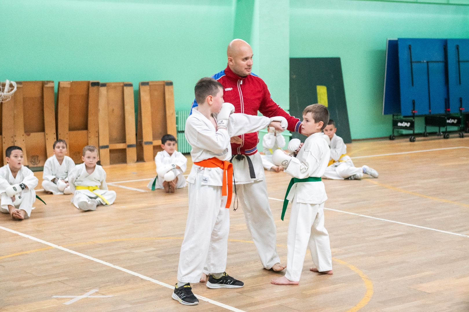 карате, лыткарино, спорт,