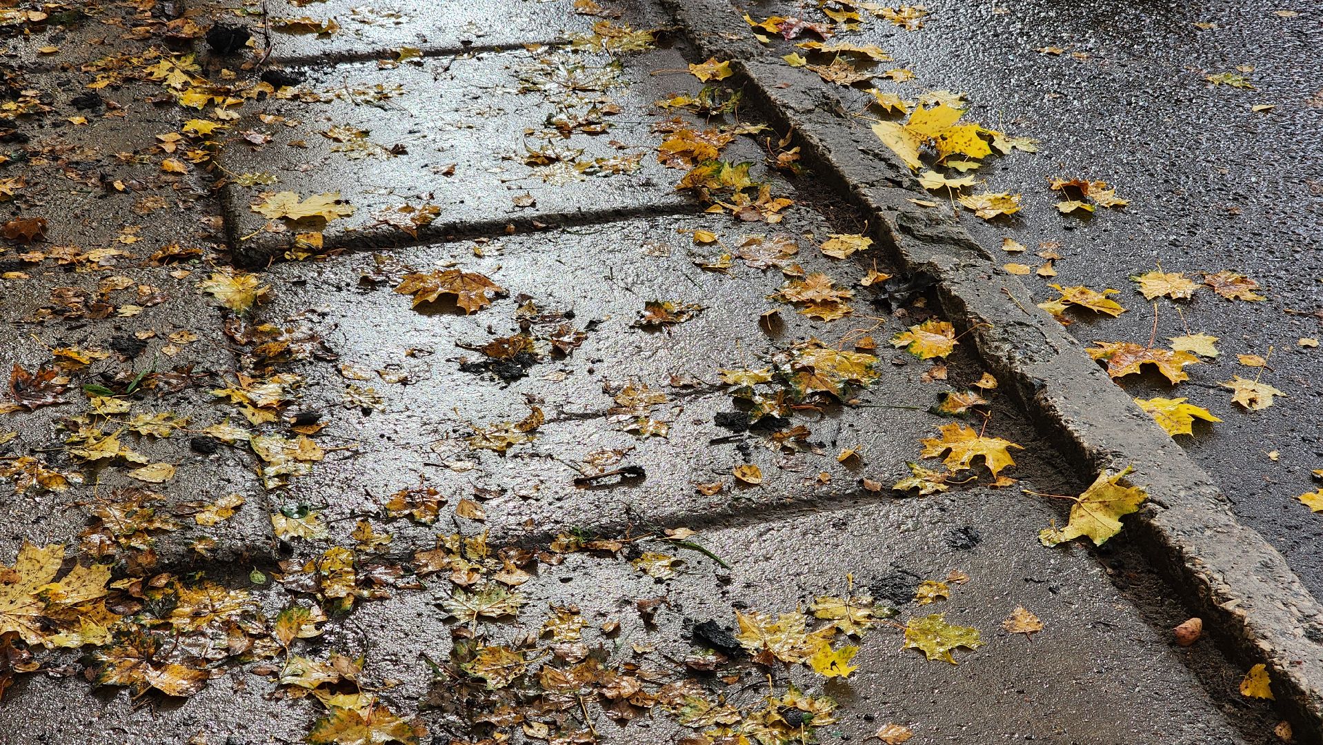 обход, протвино, благоуйстройство,