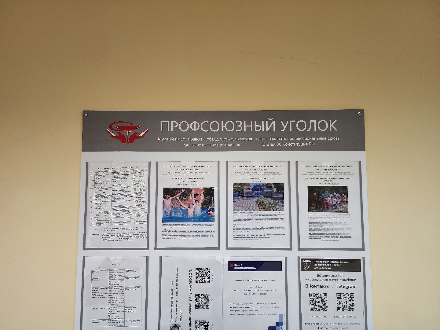 здравоохранение, одинцово, профсоюз, обучение,трудовые коллективы,