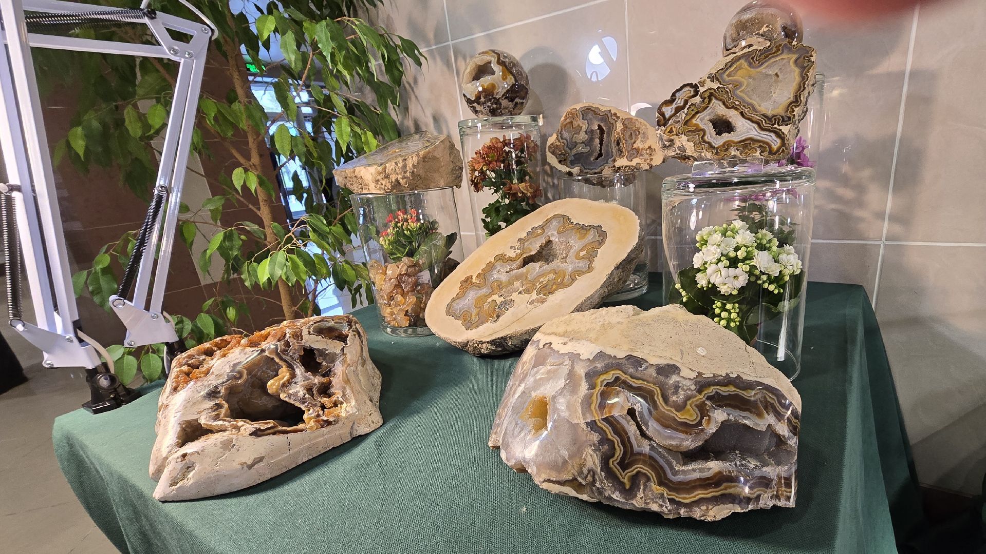 Коломна, форум , форум недропользователей цфо,