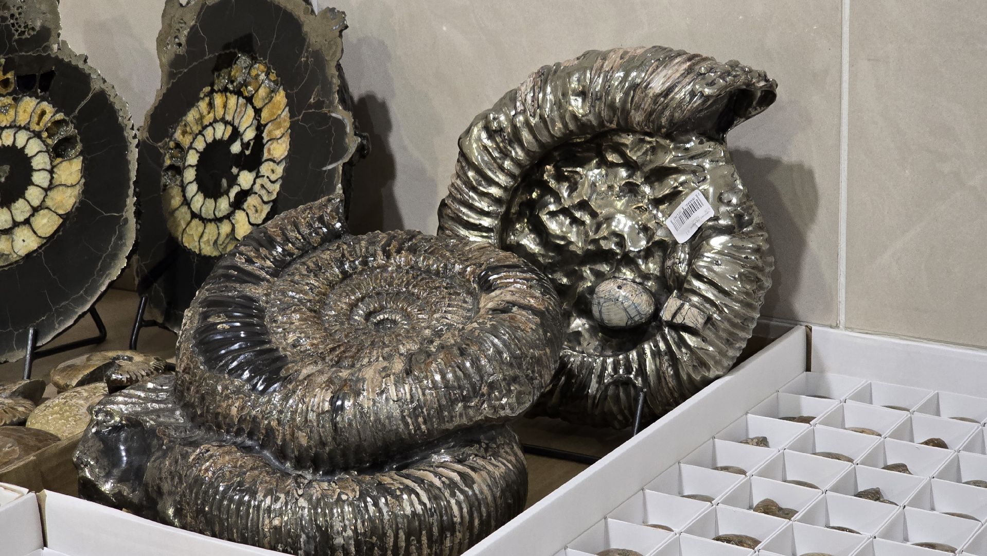 Коломна, форум , форум недропользователей цфо,