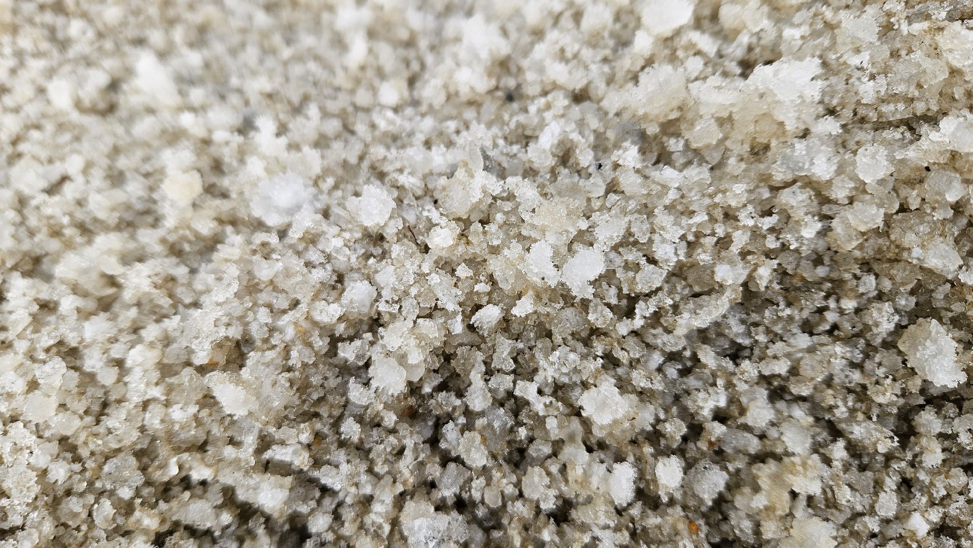 долгопрудный, мбу благоустройство, подготовка к зиме, подготовка к зимнему периоду, подготовка к зимнему сезону,