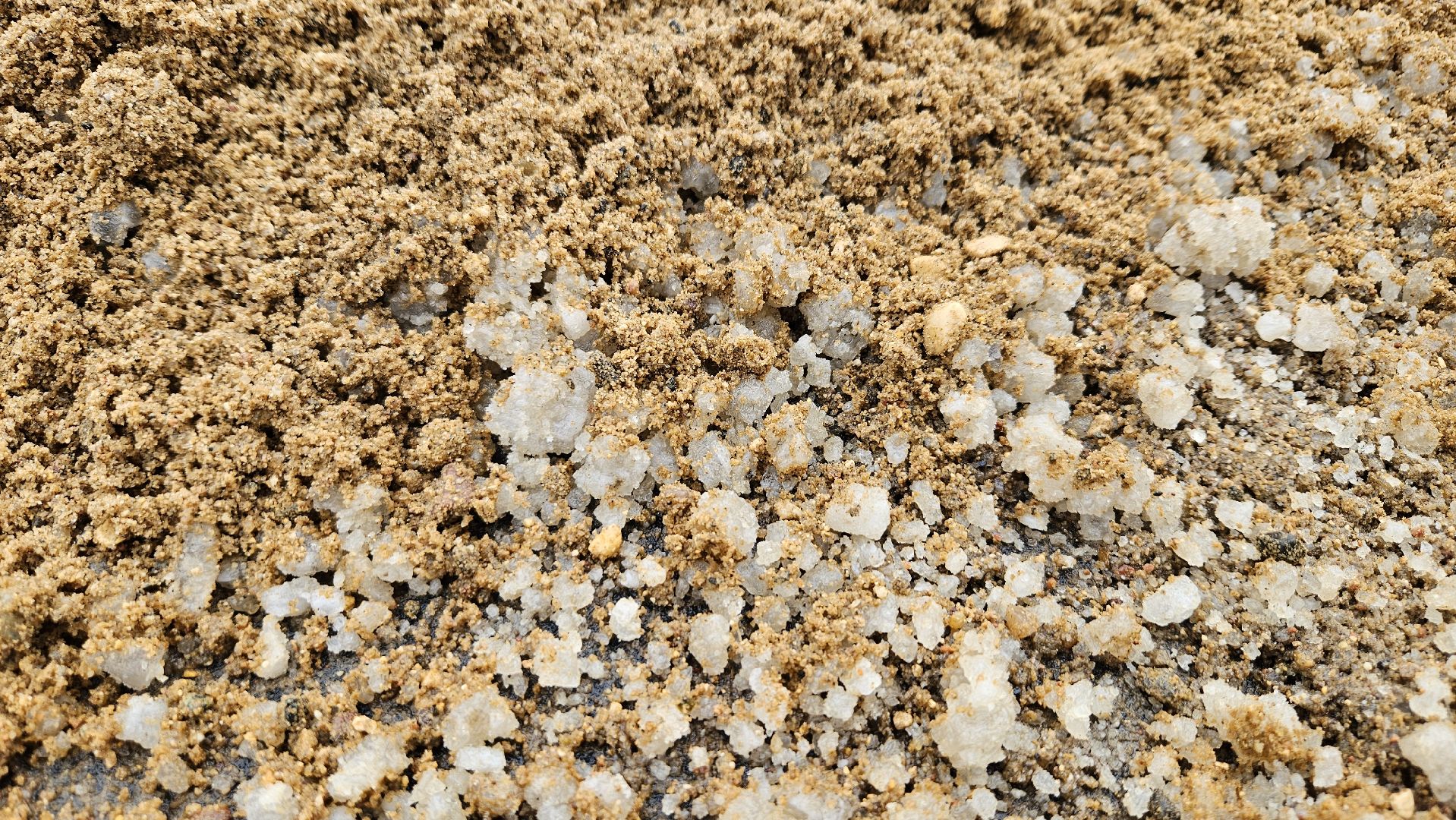 долгопрудный, мбу благоустройство, подготовка к зиме, подготовка к зимнему периоду, подготовка к зимнему сезону,