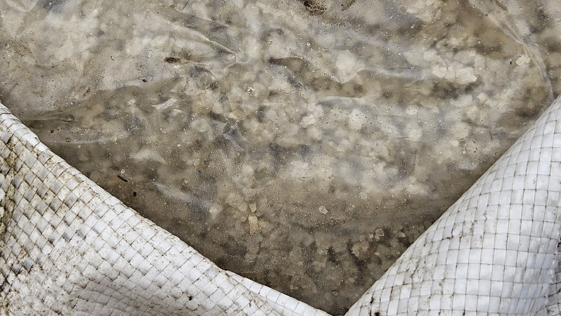 долгопрудный, мбу благоустройство, подготовка к зиме, подготовка к зимнему периоду, подготовка к зимнему сезону,