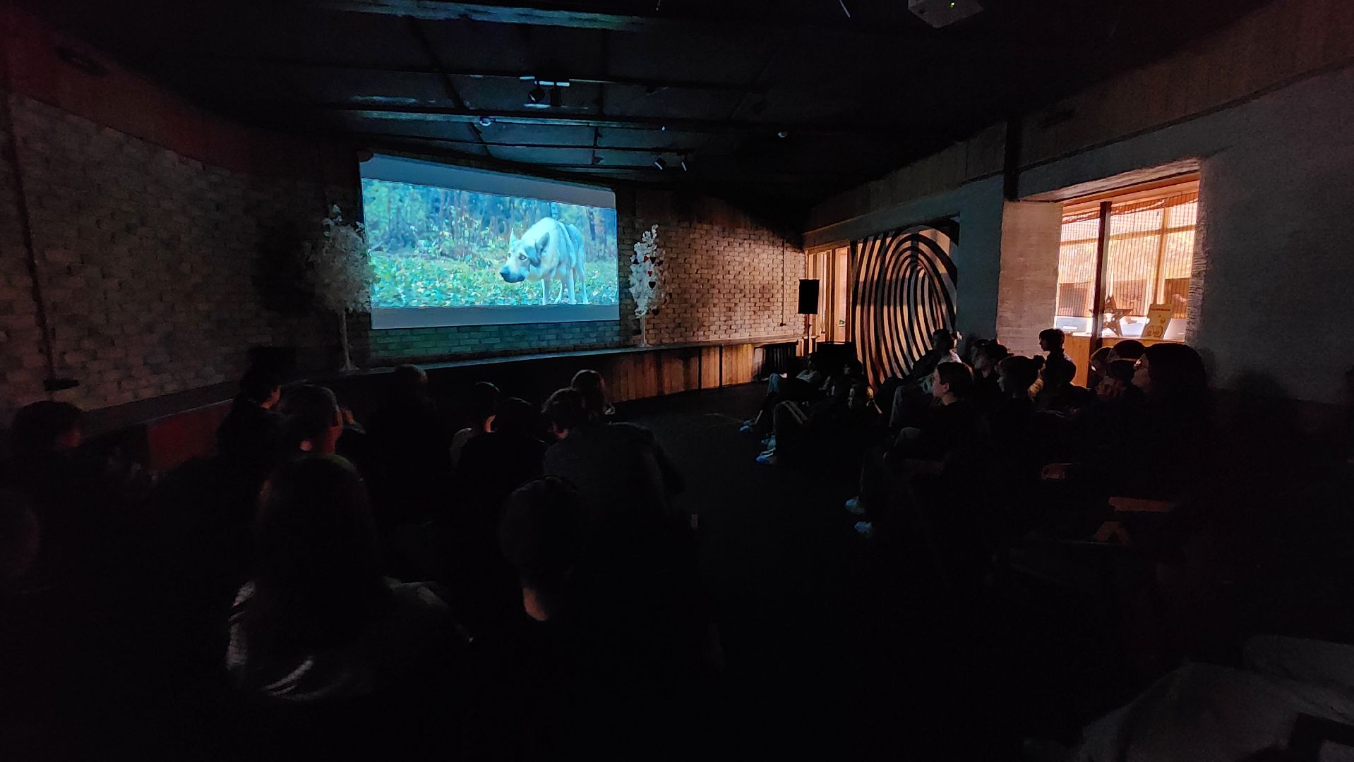 протвино, разведрота, реквизитор из протвино,