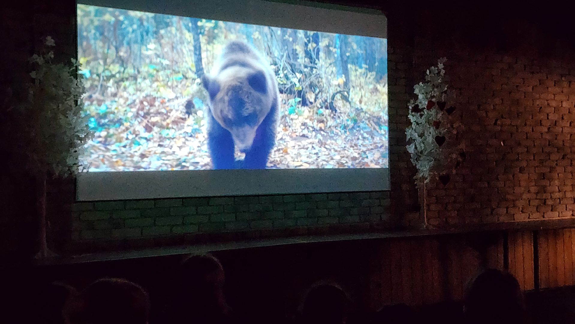 протвино, разведрота, реквизитор из протвино,