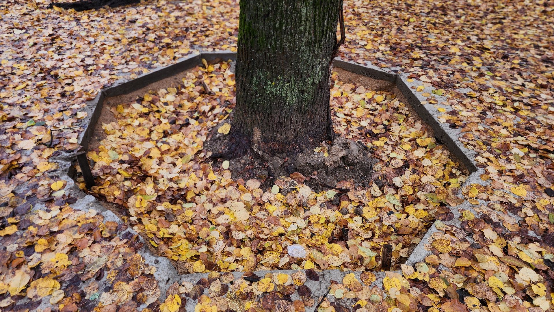 Руза , Сквер, Благоустройство , Безопасный регион,