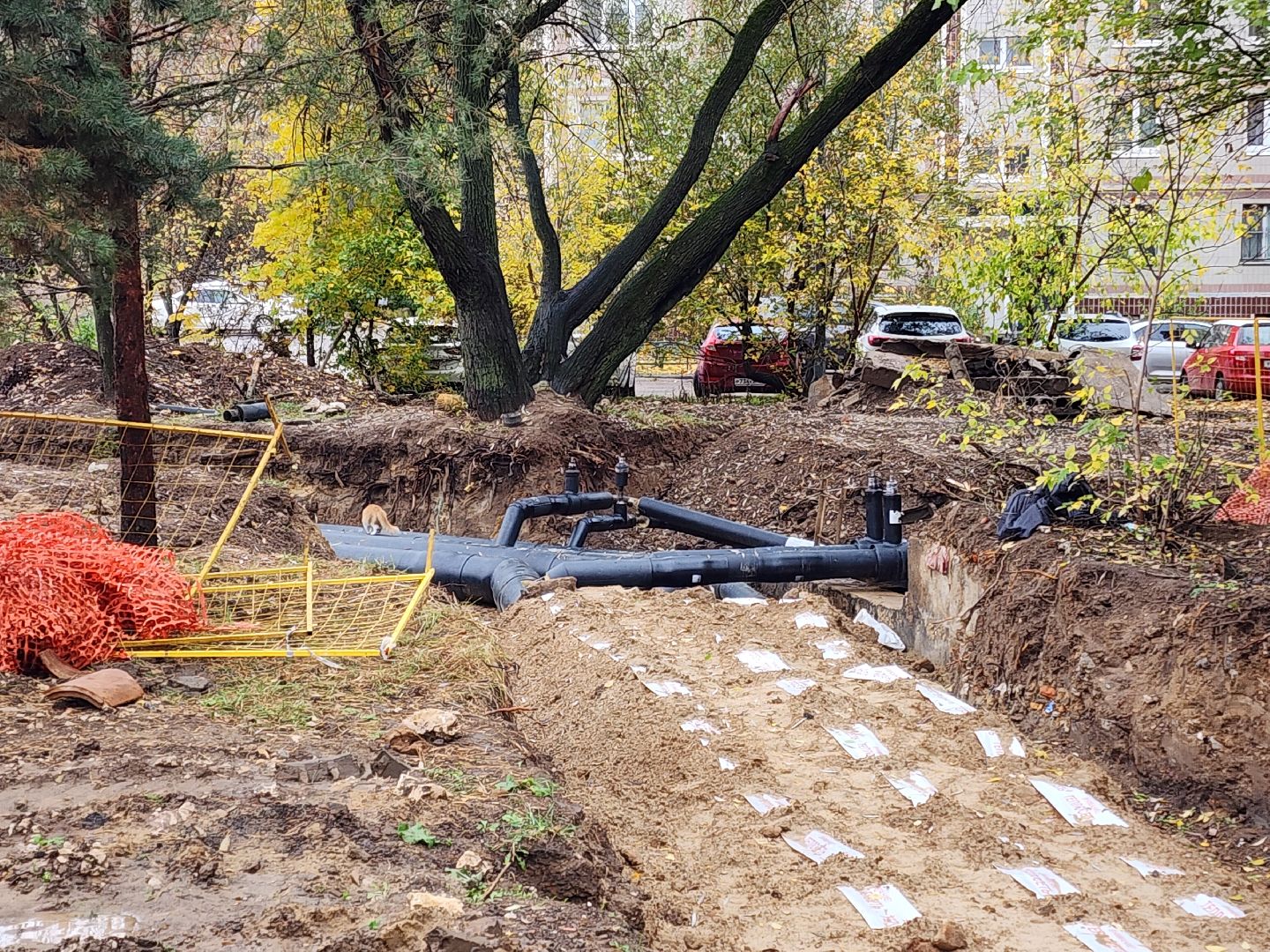 чехов, вишневый бульвар, улица чехова, капремонт теплосети, реконструкция теплотрассы, модернизация, замена труб, горячее водоснабжение, отопление, обратная засыпка траншей, благоустройство, госпрограмма московской области, обращения жителей, портал добродел,