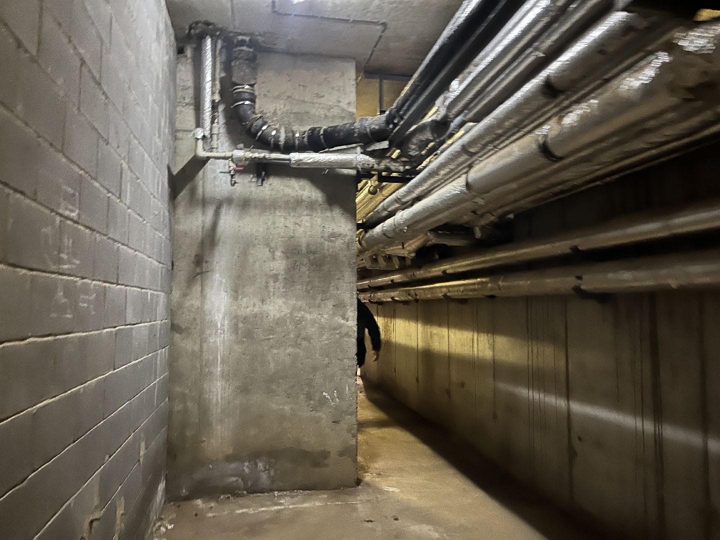 красногорск,  завоздушивание, коммунальная служба,