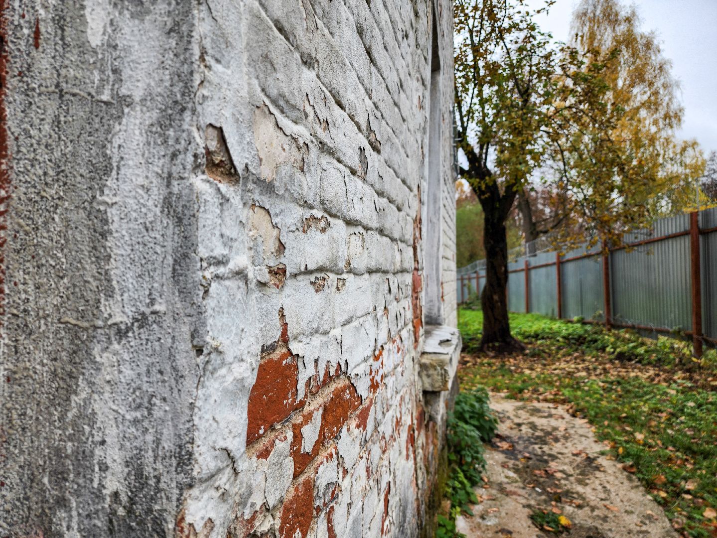 Подольск, плещеево, концерт , максим горький,павел быков,