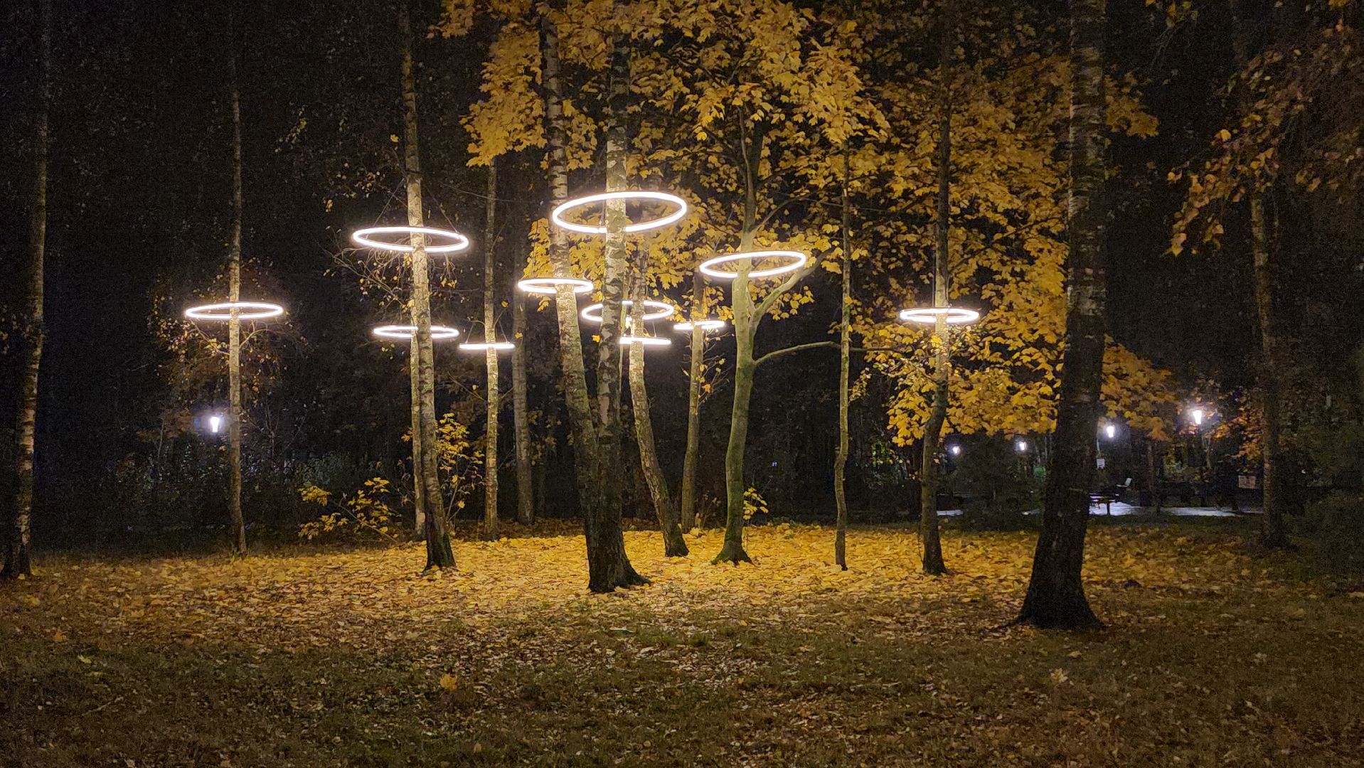 люберцы, малаховское озеро, реконструкция, модернизация , декоративная подсветка,