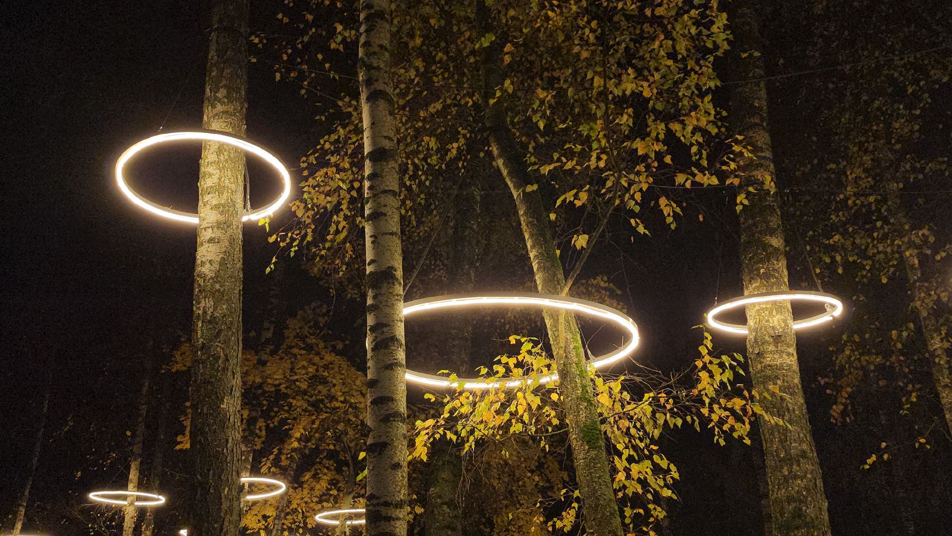 люберцы, малаховское озеро, реконструкция, модернизация , декоративная подсветка,