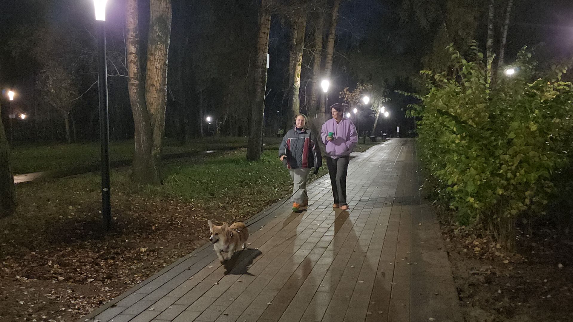 люберцы, малаховское озеро, реконструкция, модернизация , декоративная подсветка,