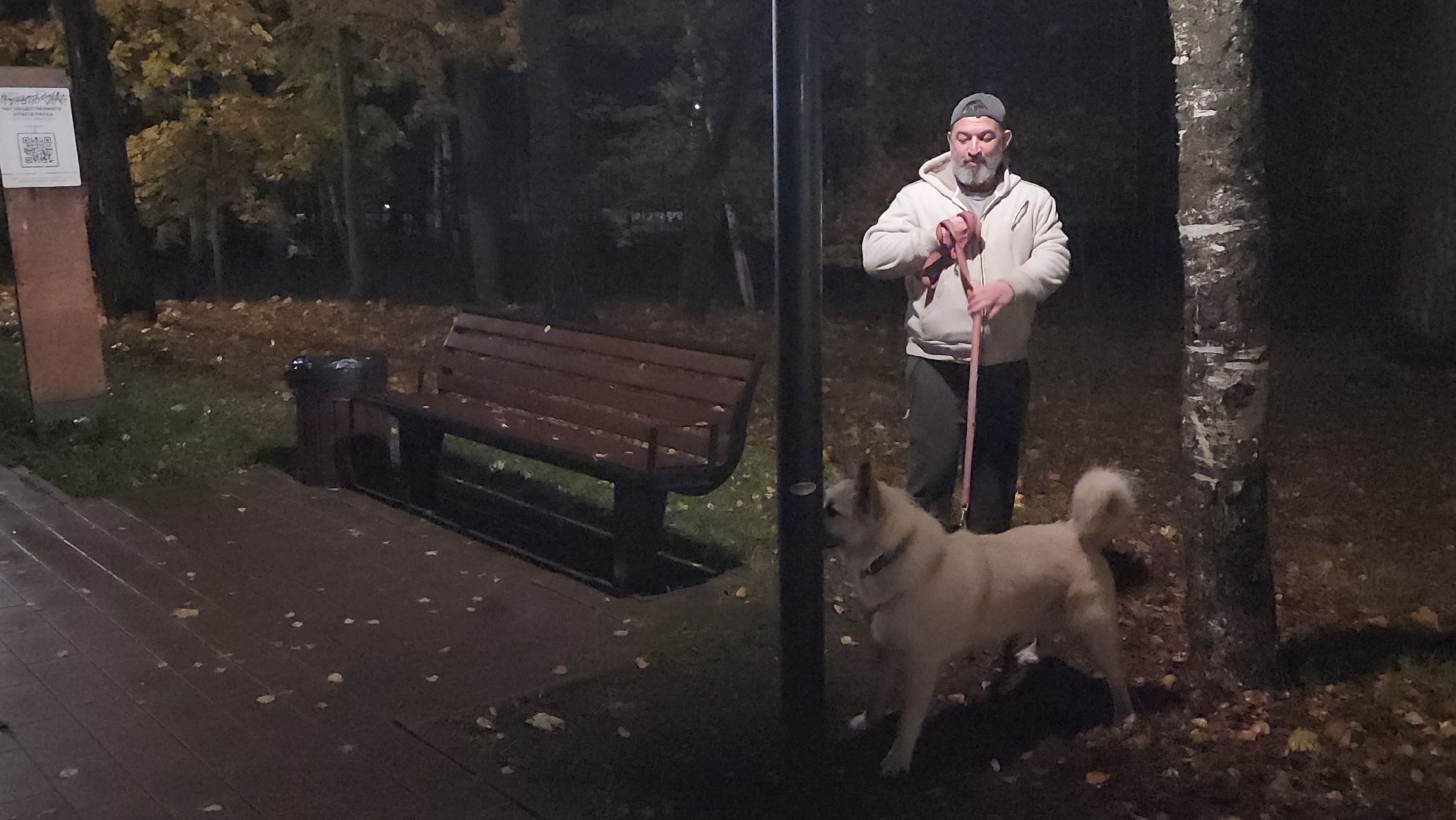 люберцы, малаховское озеро, реконструкция, модернизация , декоративная подсветка,