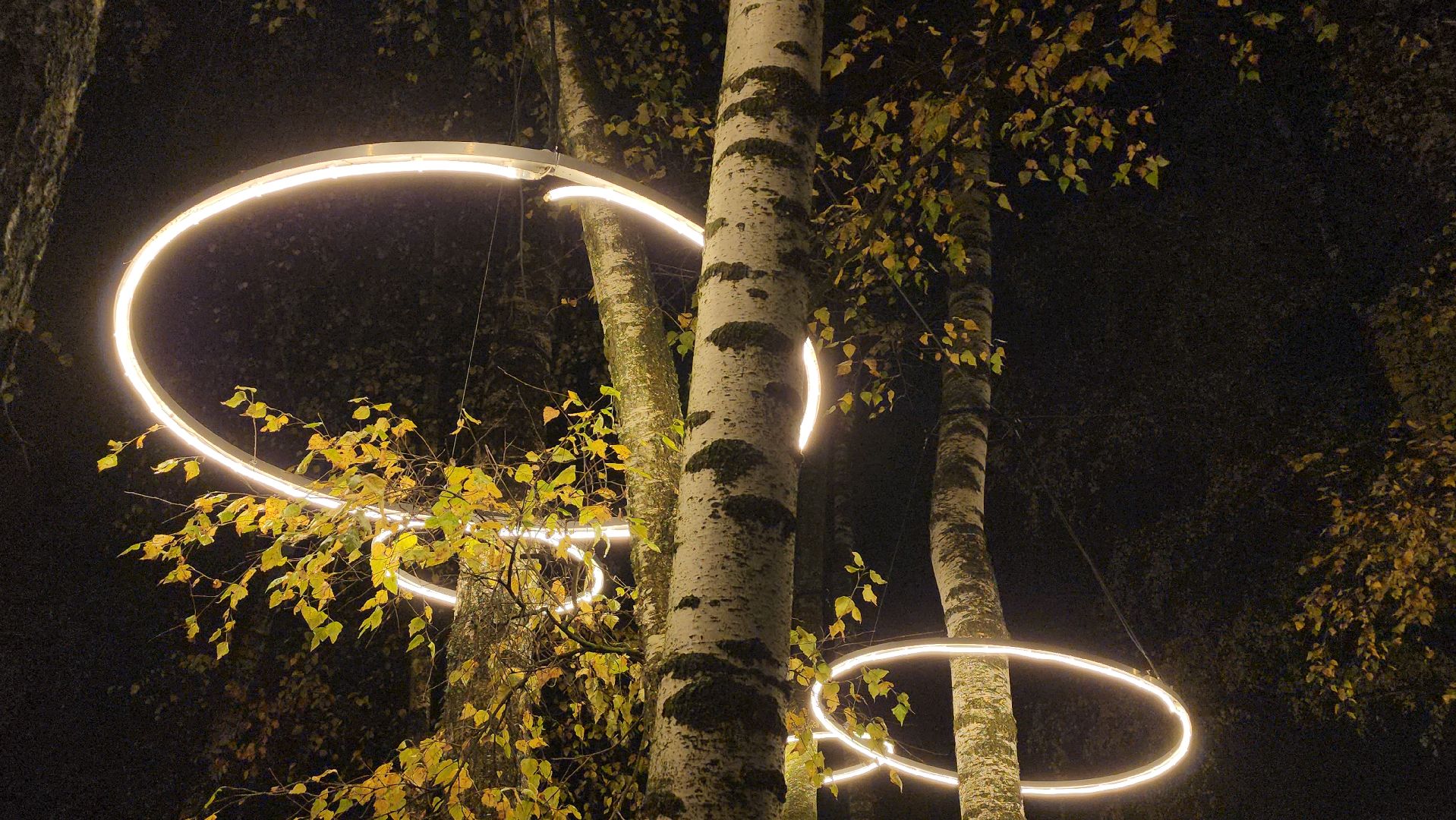 люберцы, малаховское озеро, реконструкция, модернизация , декоративная подсветка,