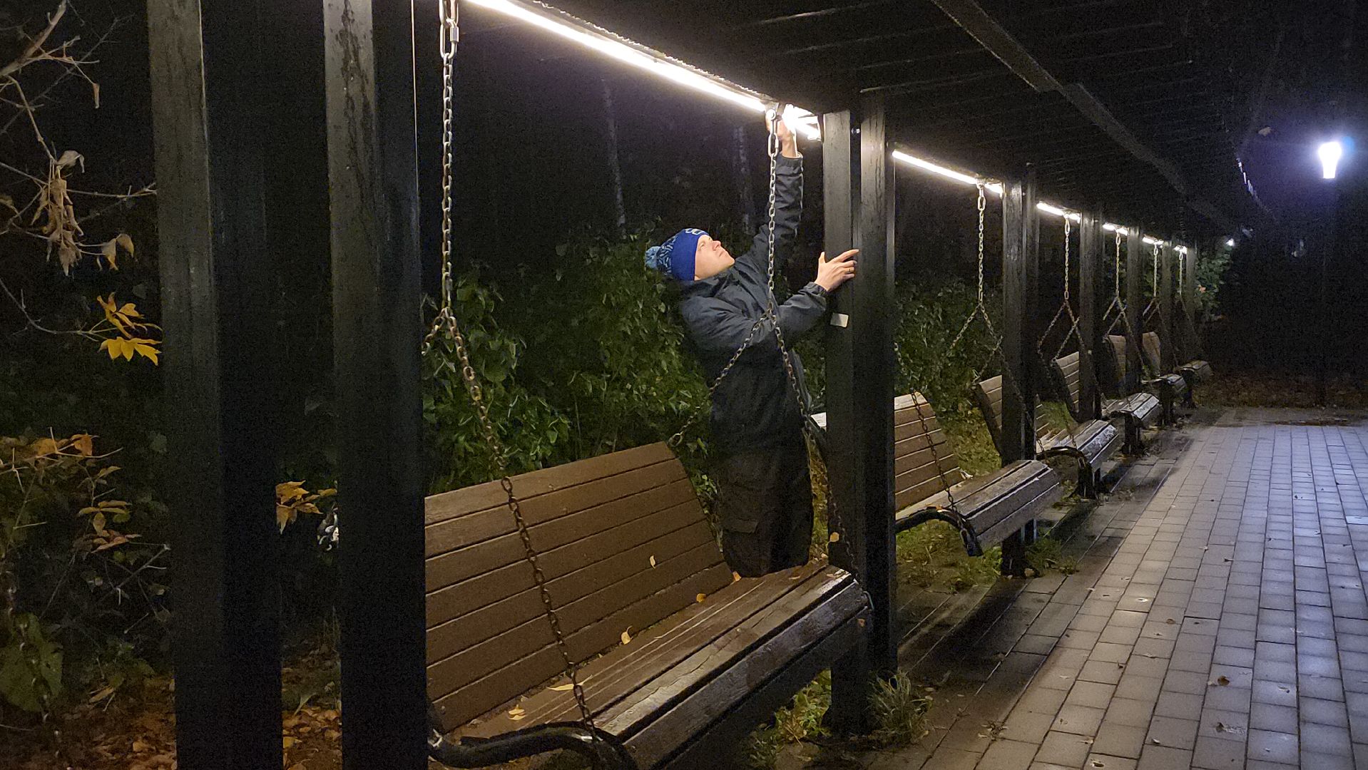 люберцы, малаховское озеро, реконструкция, модернизация , декоративная подсветка,